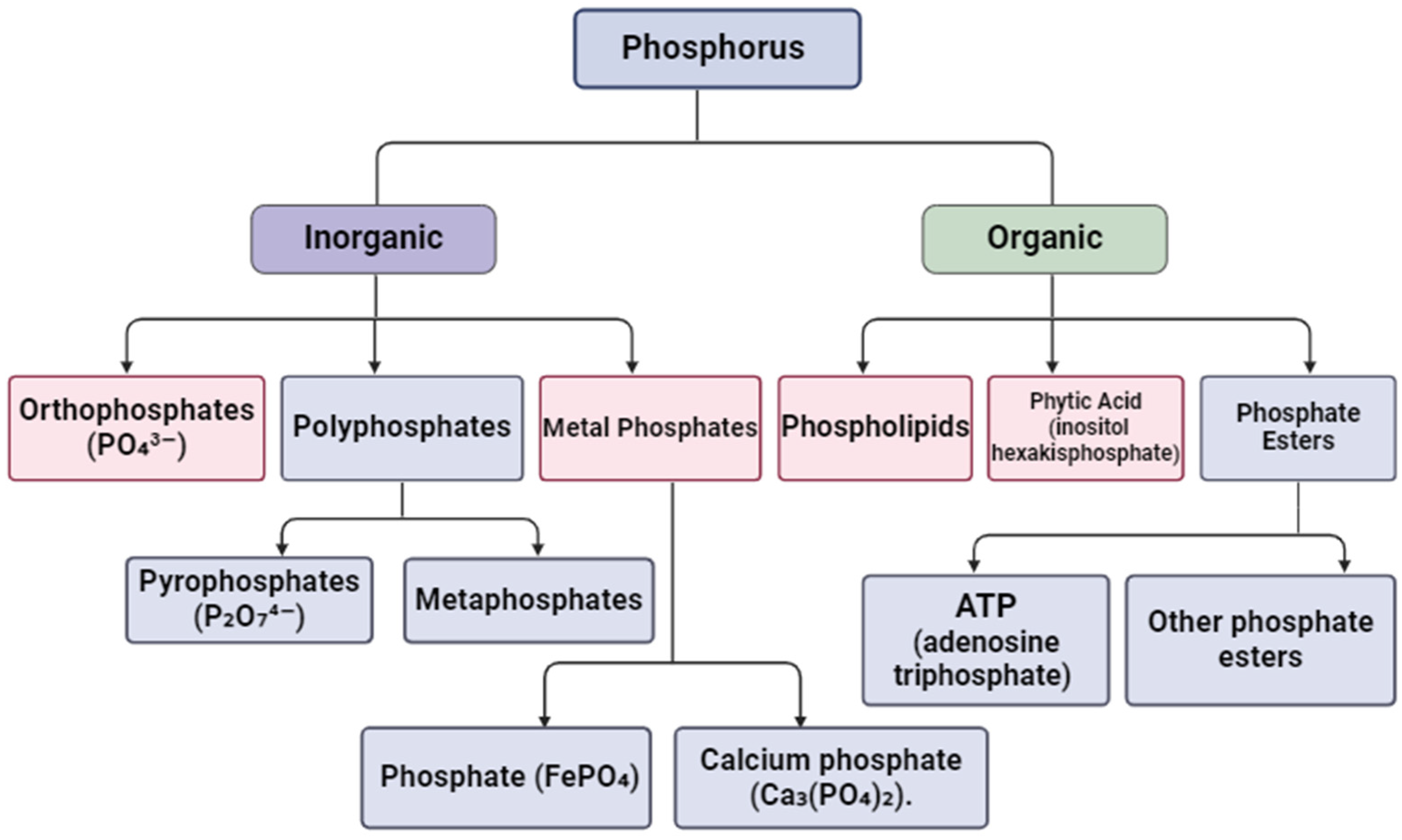 Sustainability 16 06321 g004