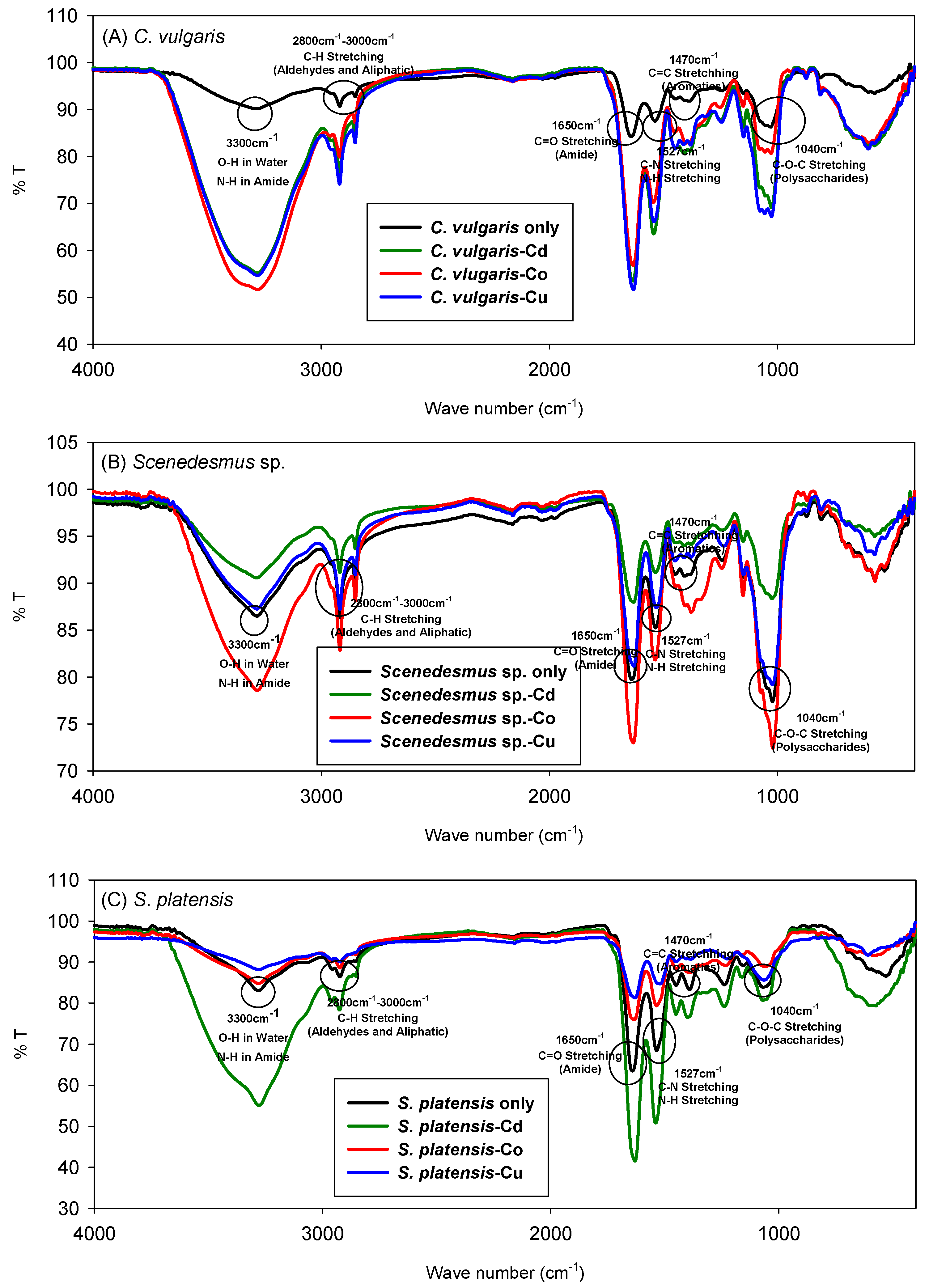 Sustainability 16 06342 g003