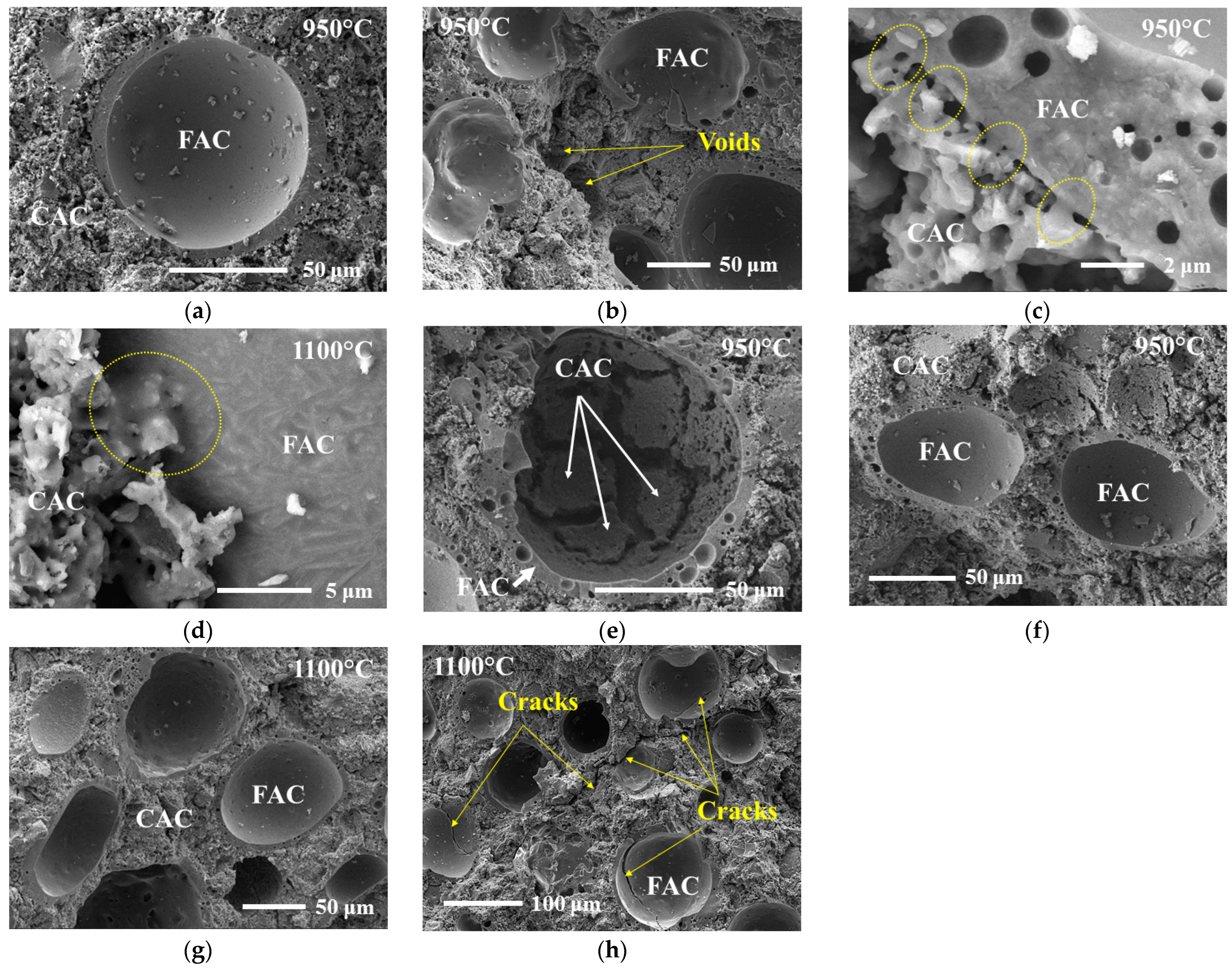 Sustainability 16 06349 g003
