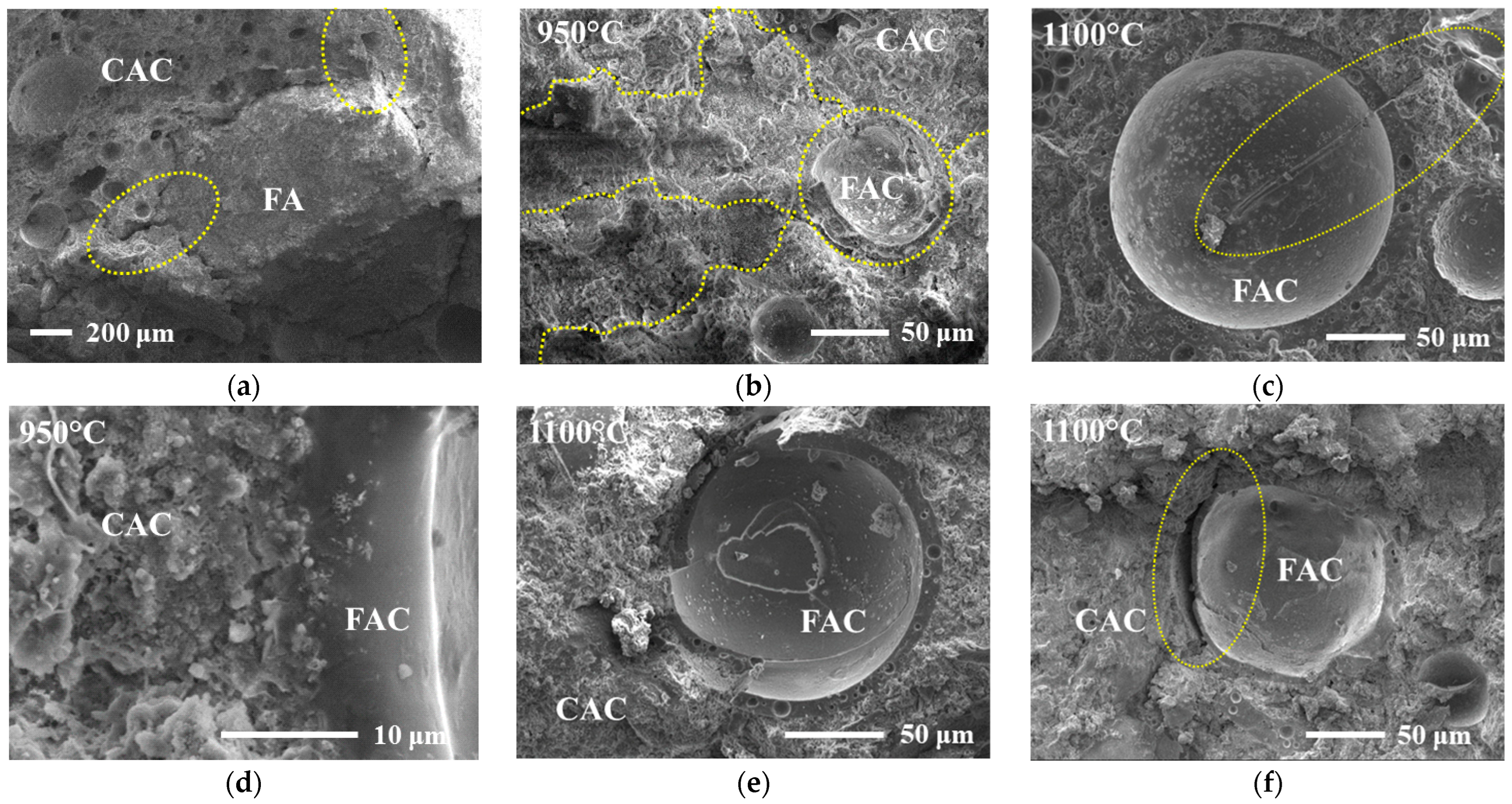 Sustainability 16 06349 g009