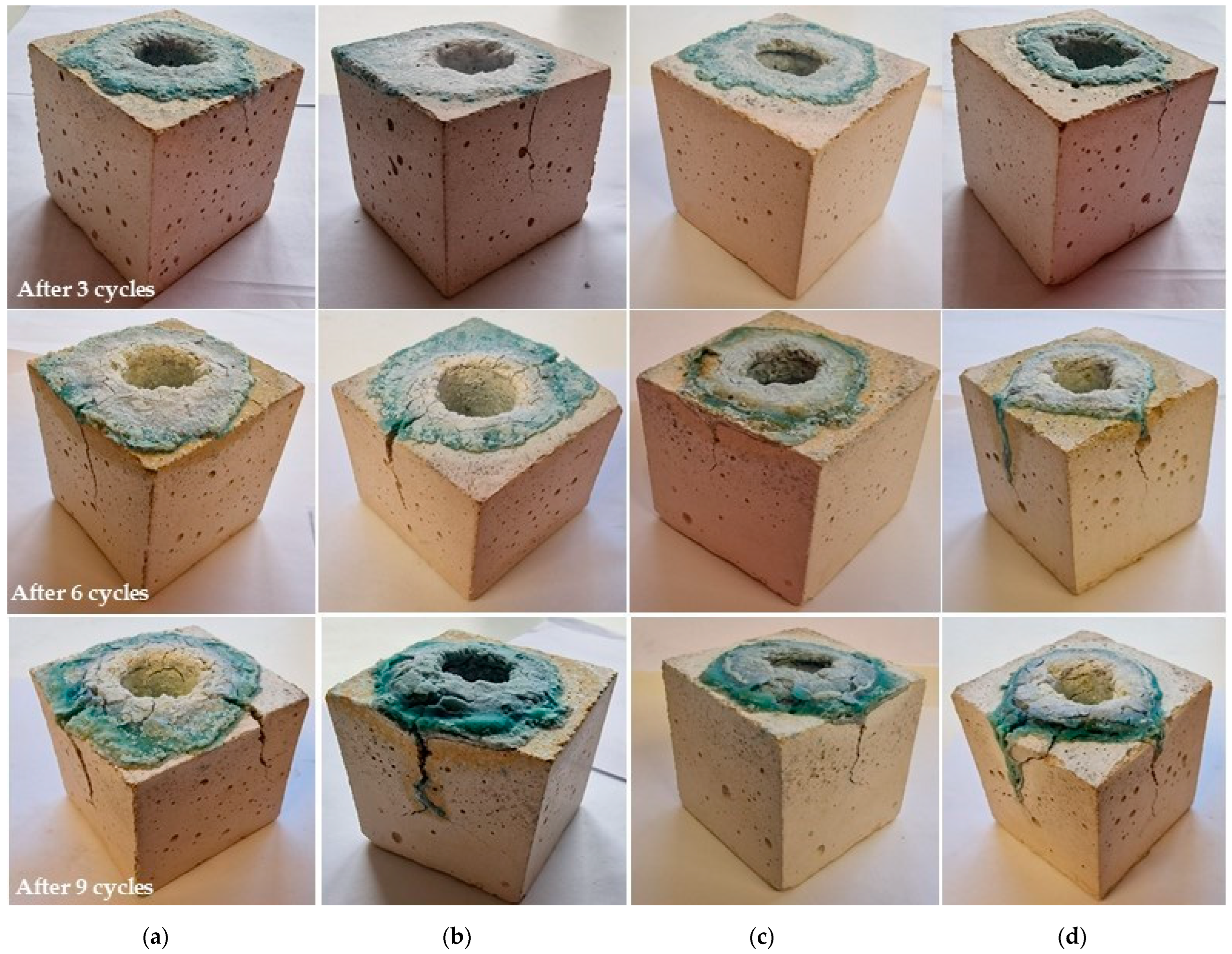 Sustainability 16 06349 g010