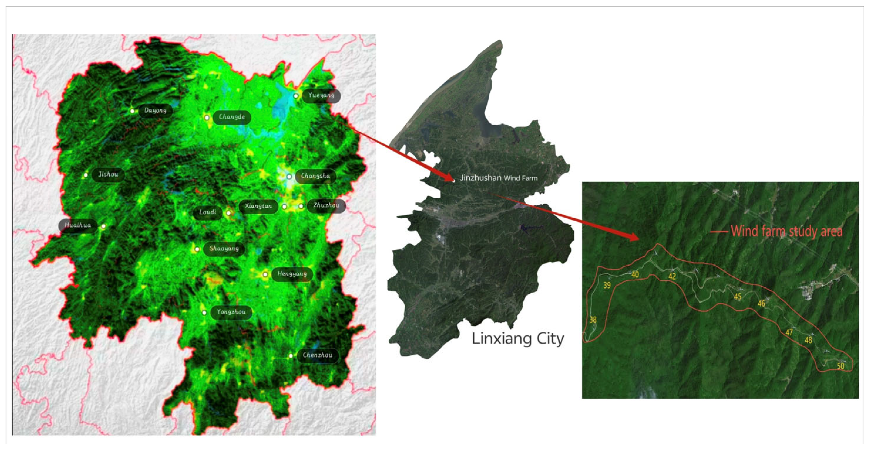 Sustainability 16 06350 g001
