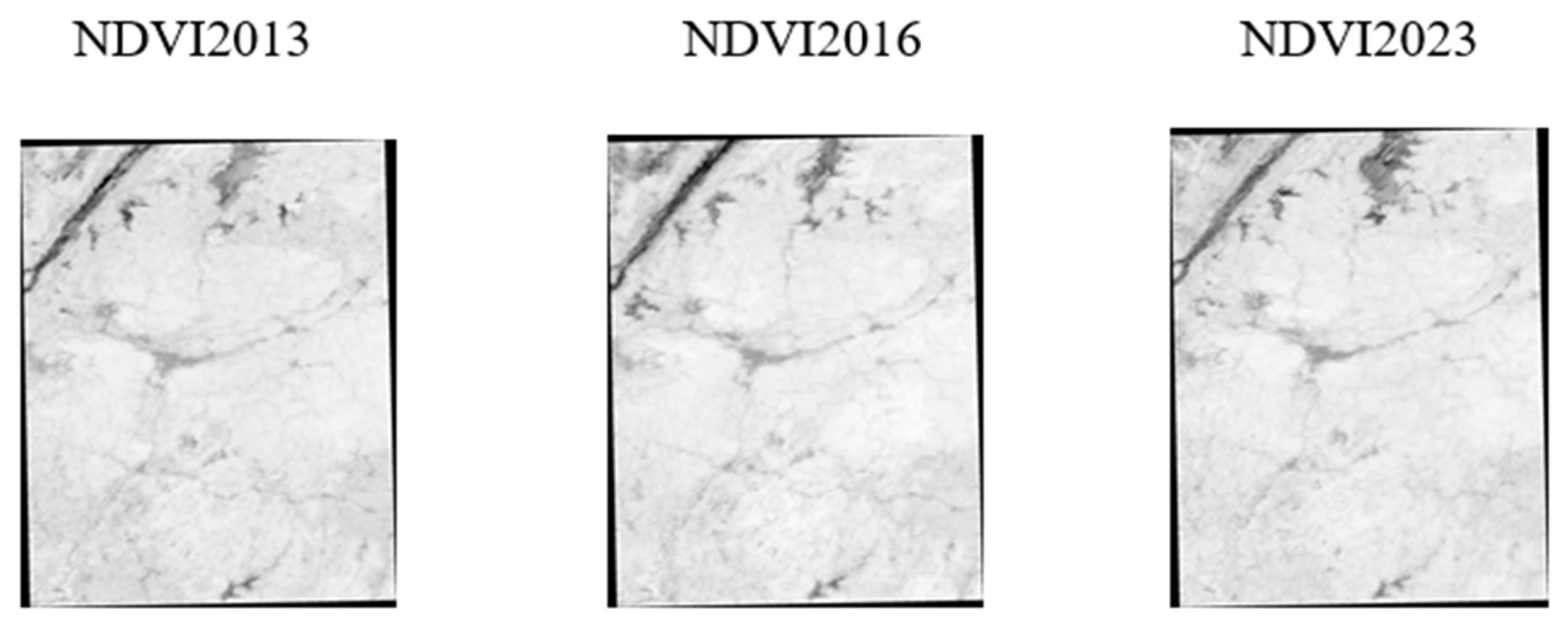 Sustainability 16 06350 g008