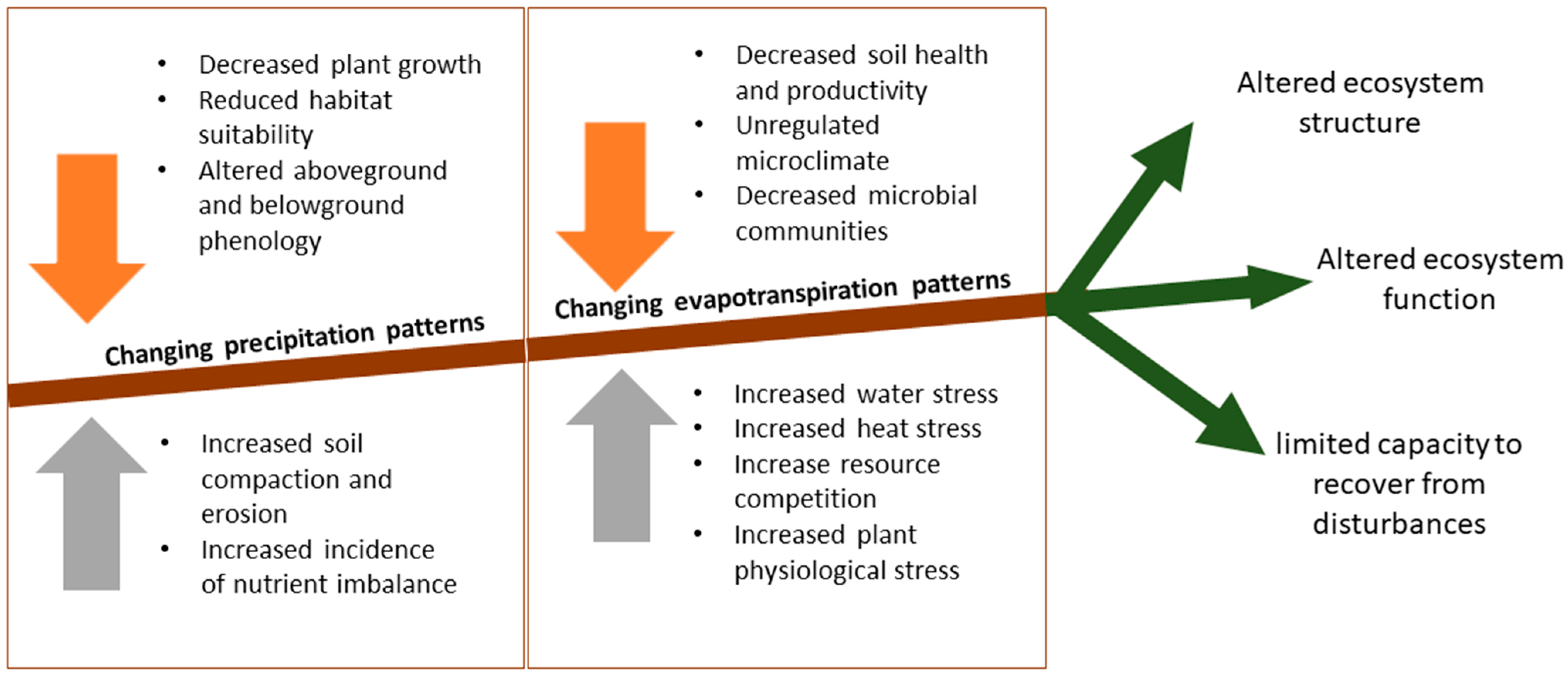 Sustainability 16 06381 g007