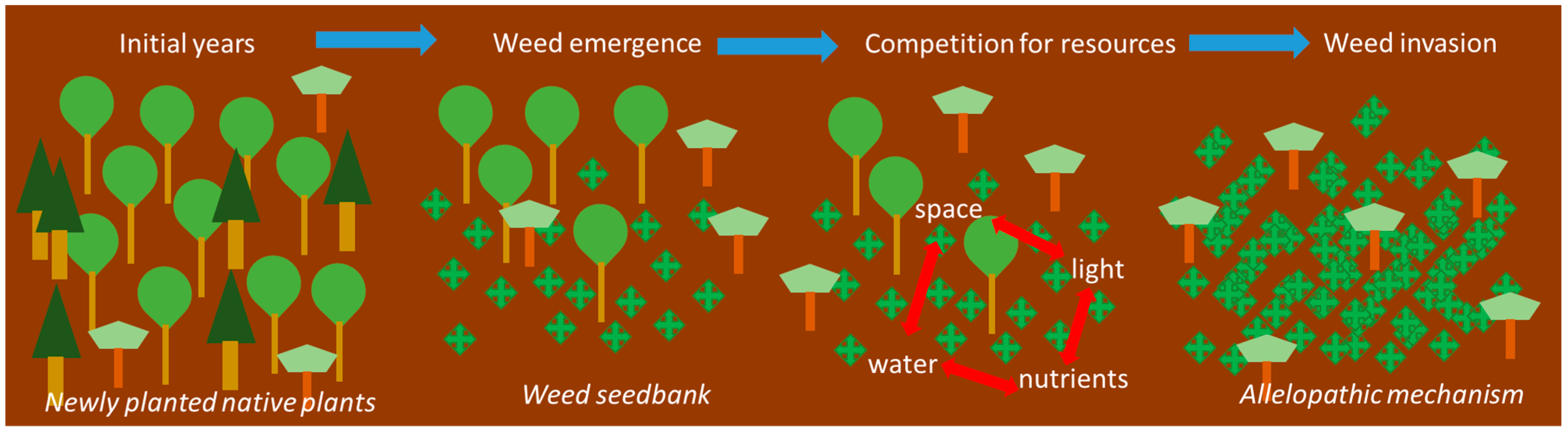Sustainability 16 06381 g008
