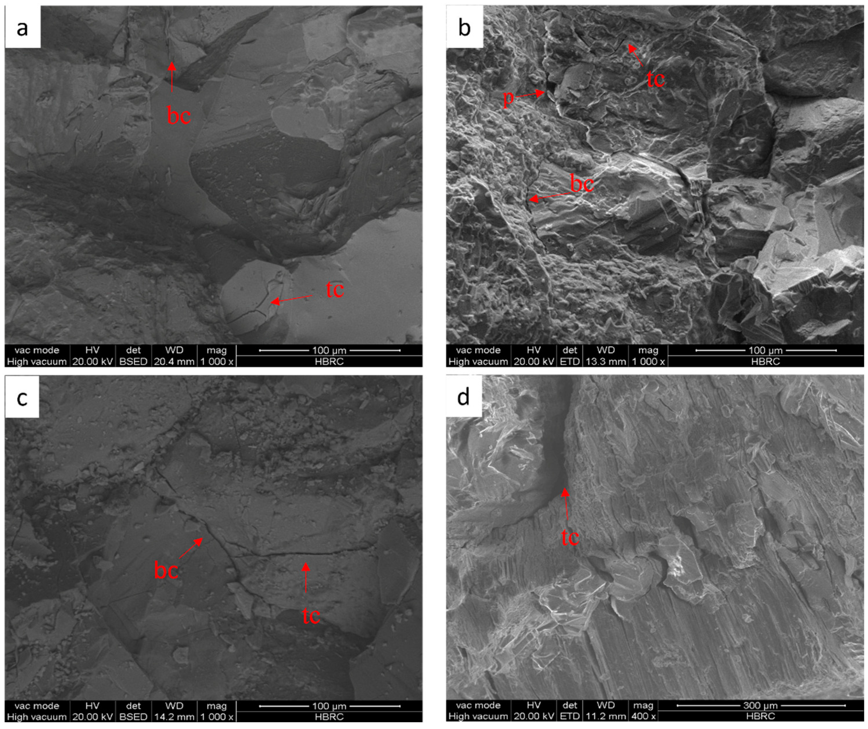 Sustainability 16 06396 g007