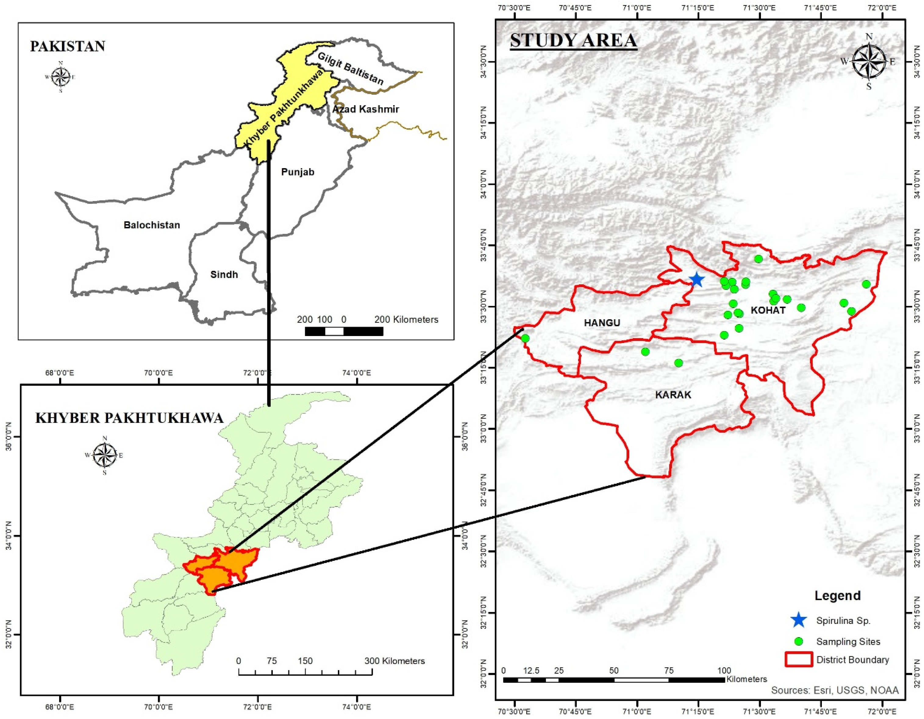 Sustainability 16 06400 g001