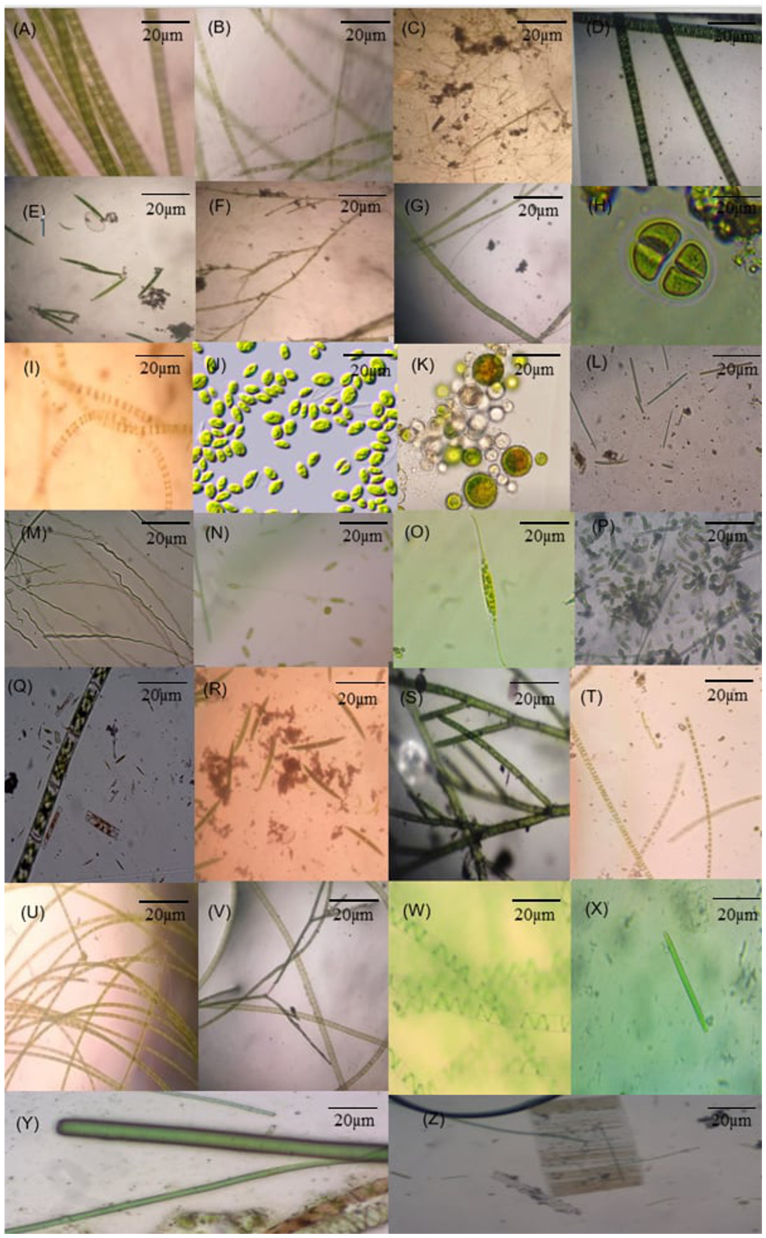 Sustainability 16 06400 g003