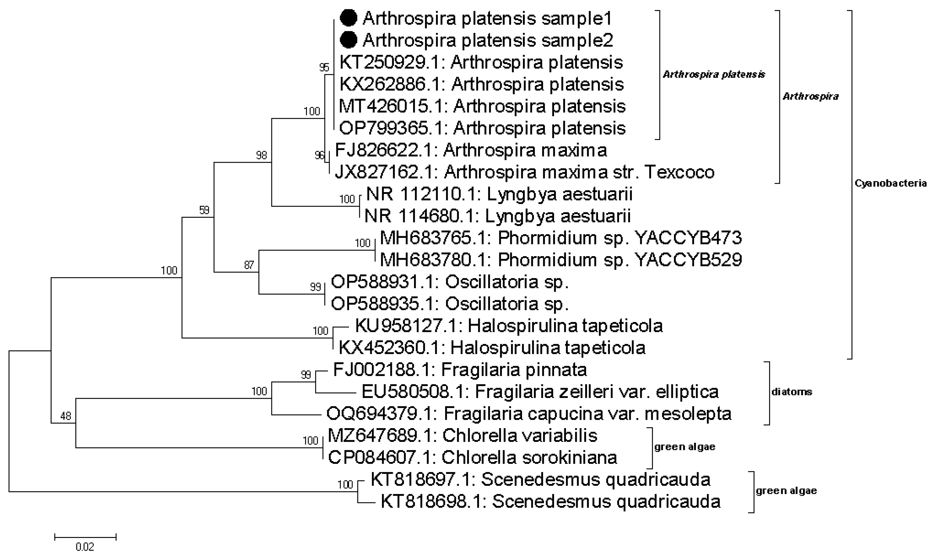 Sustainability 16 06400 g007
