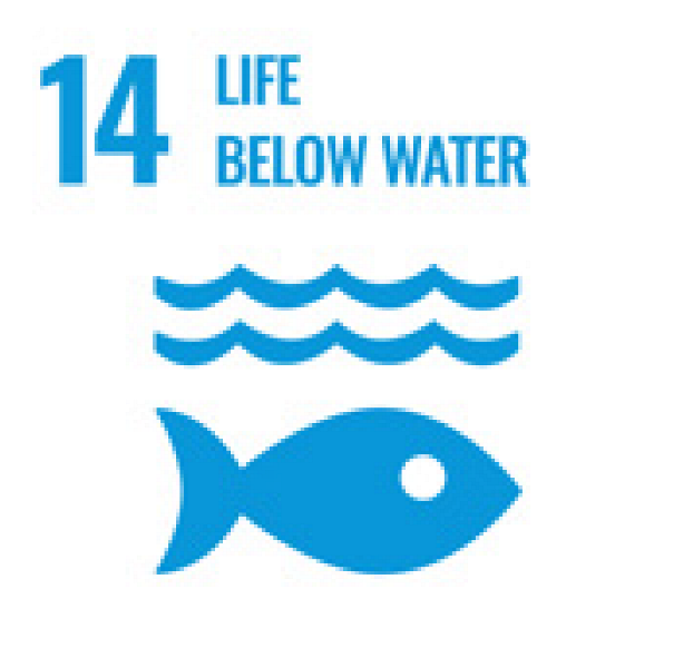 Sustainability 16 06405 i014 Sustainability 16 06405 i014