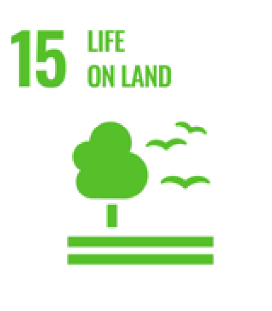 Sustainability 16 06405 i015 Sustainability 16 06405 i015