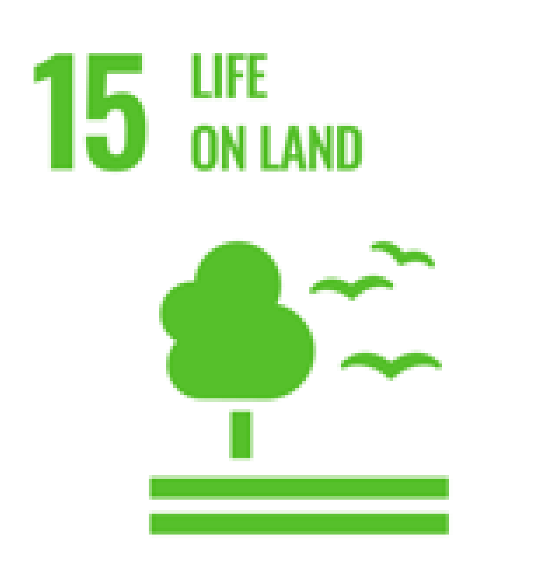 Sustainability 16 06405 i022 Sustainability 16 06405 i022