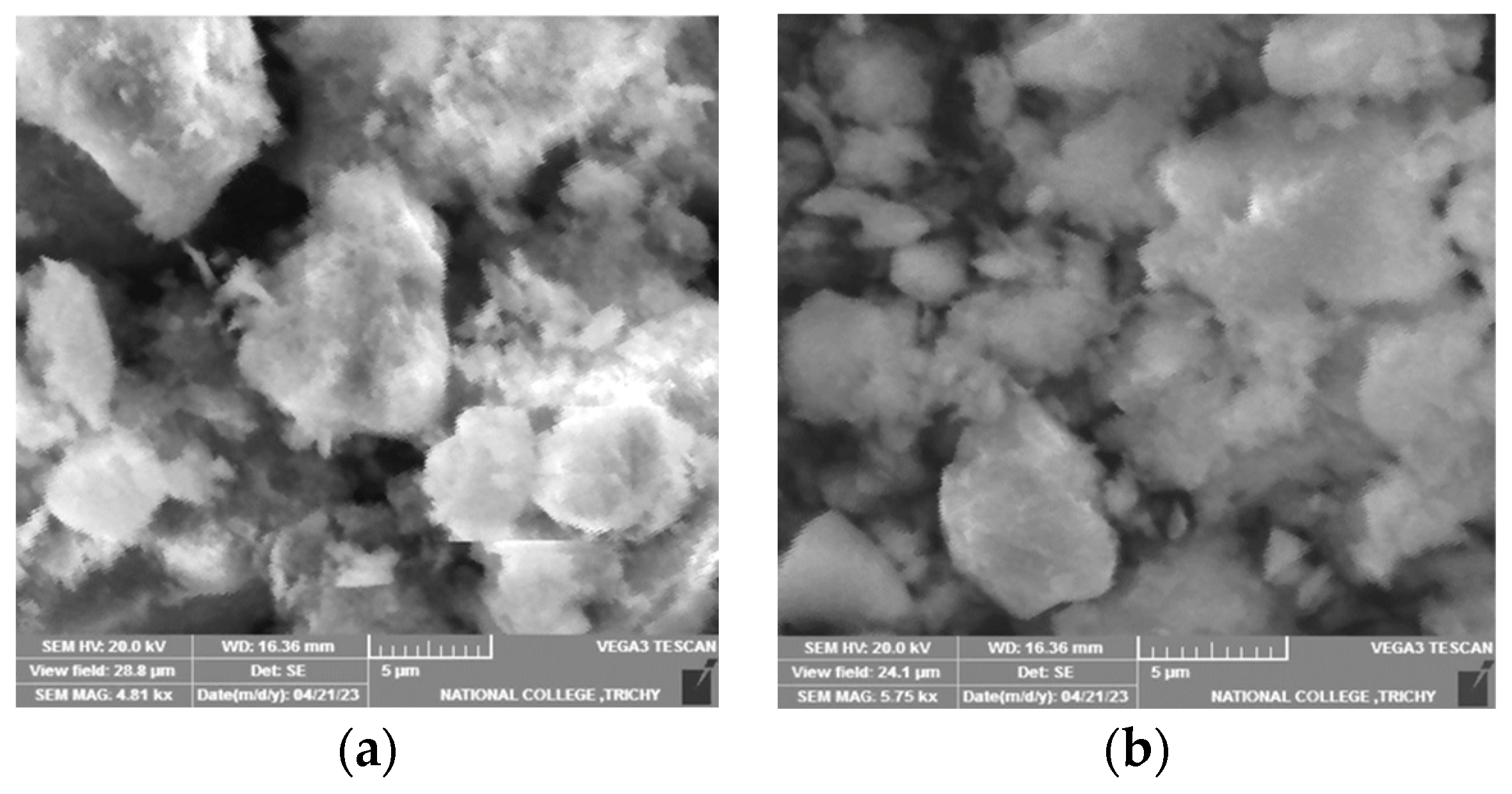 Sustainability 16 06408 g007