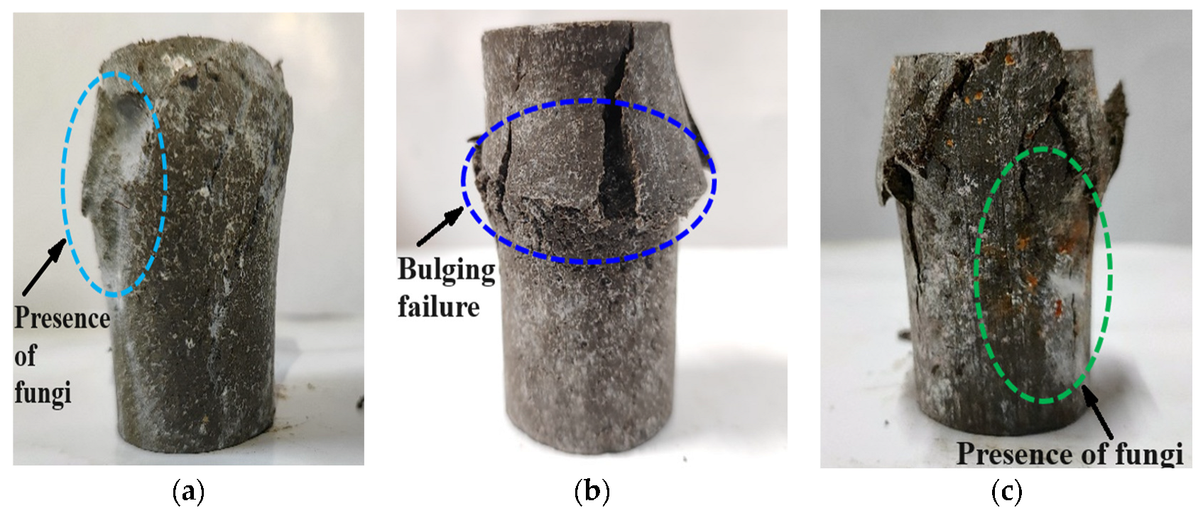 Sustainability 16 06408 g008
