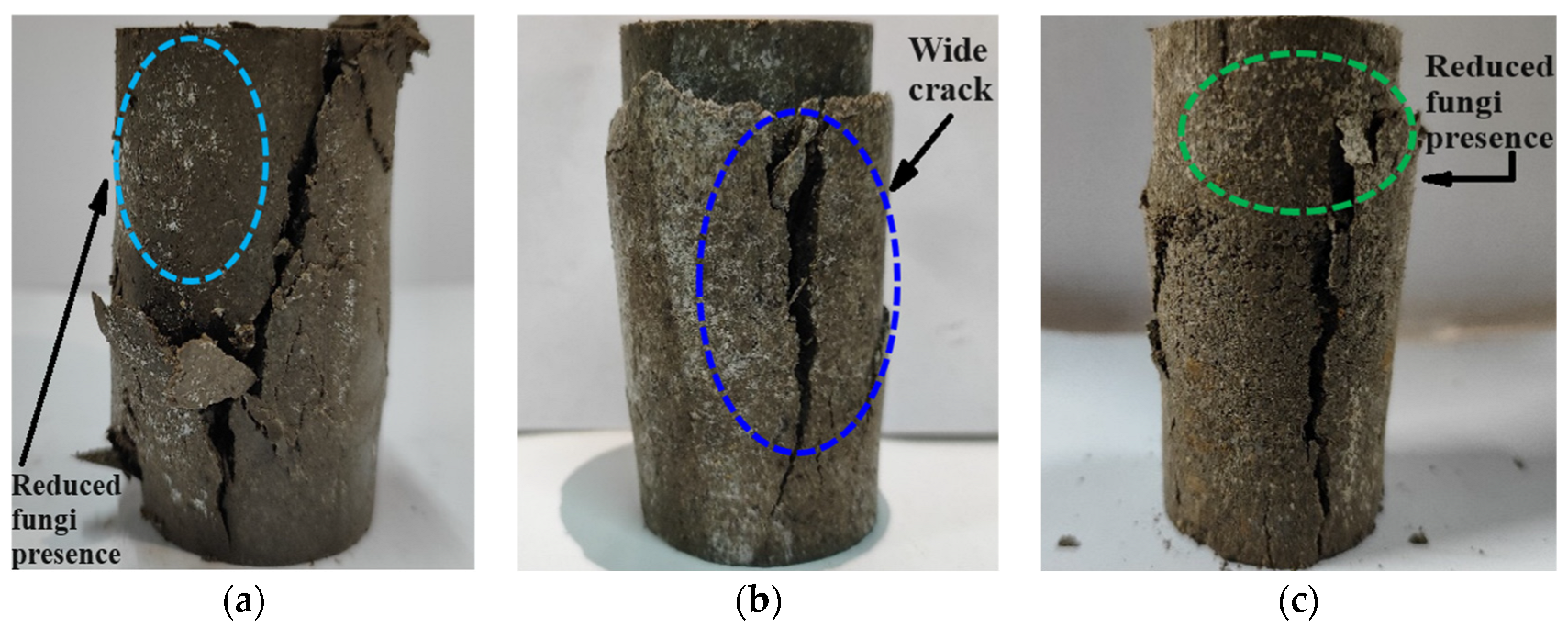 Sustainability 16 06408 g009