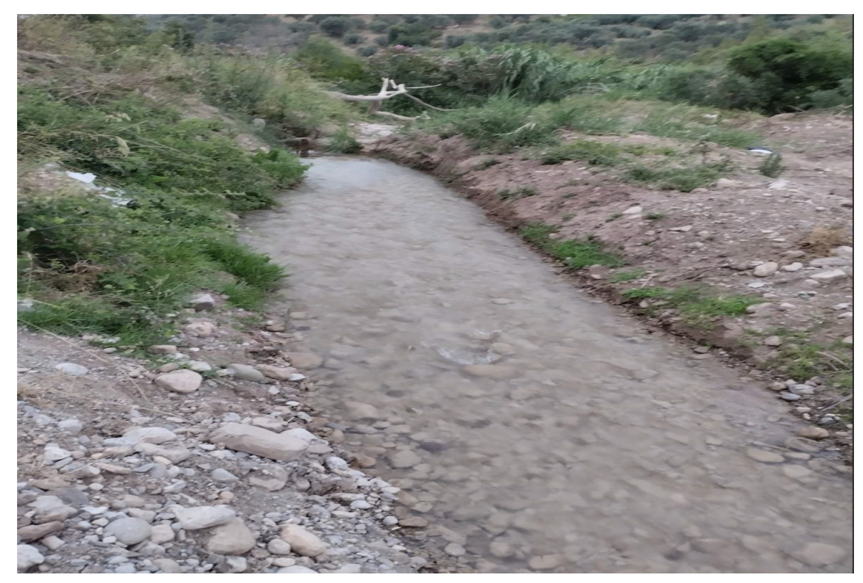 Sustainability 16 06416 g007 Sustainability 16 06416 g007