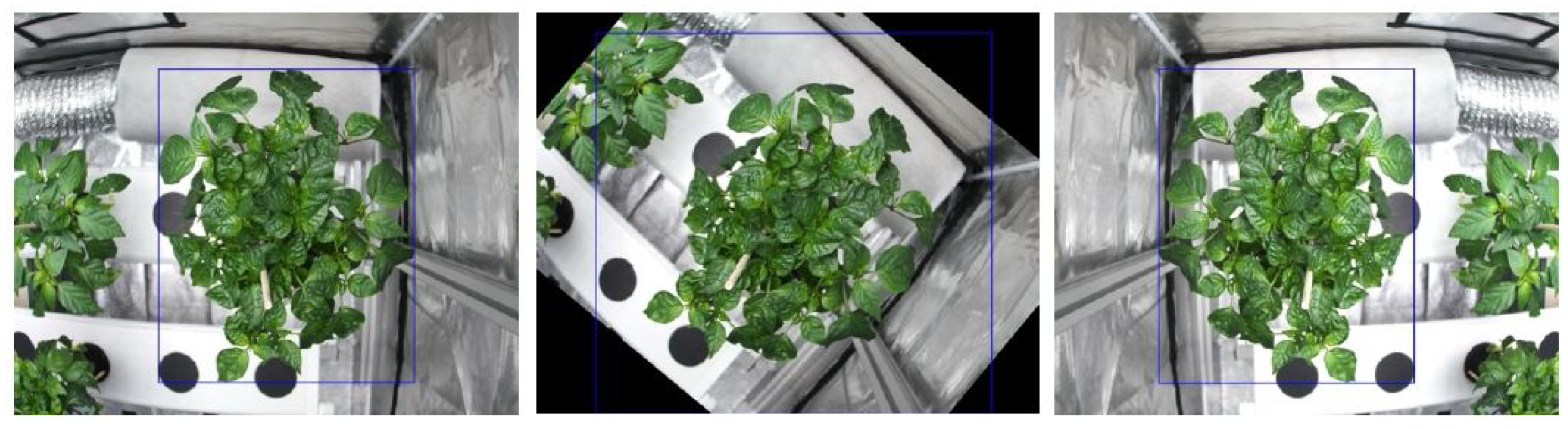 Sustainability 16 06420 g005