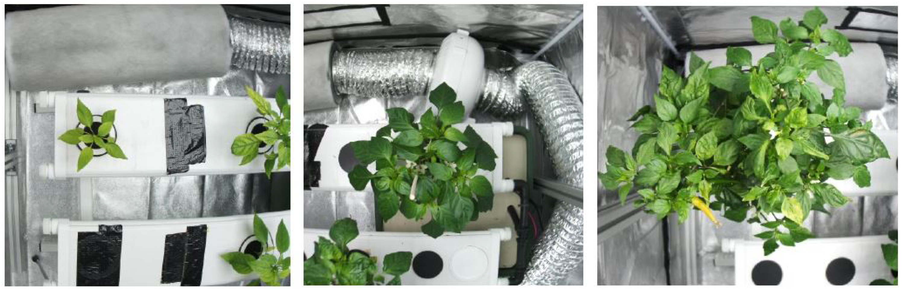 Sustainability 16 06420 g010