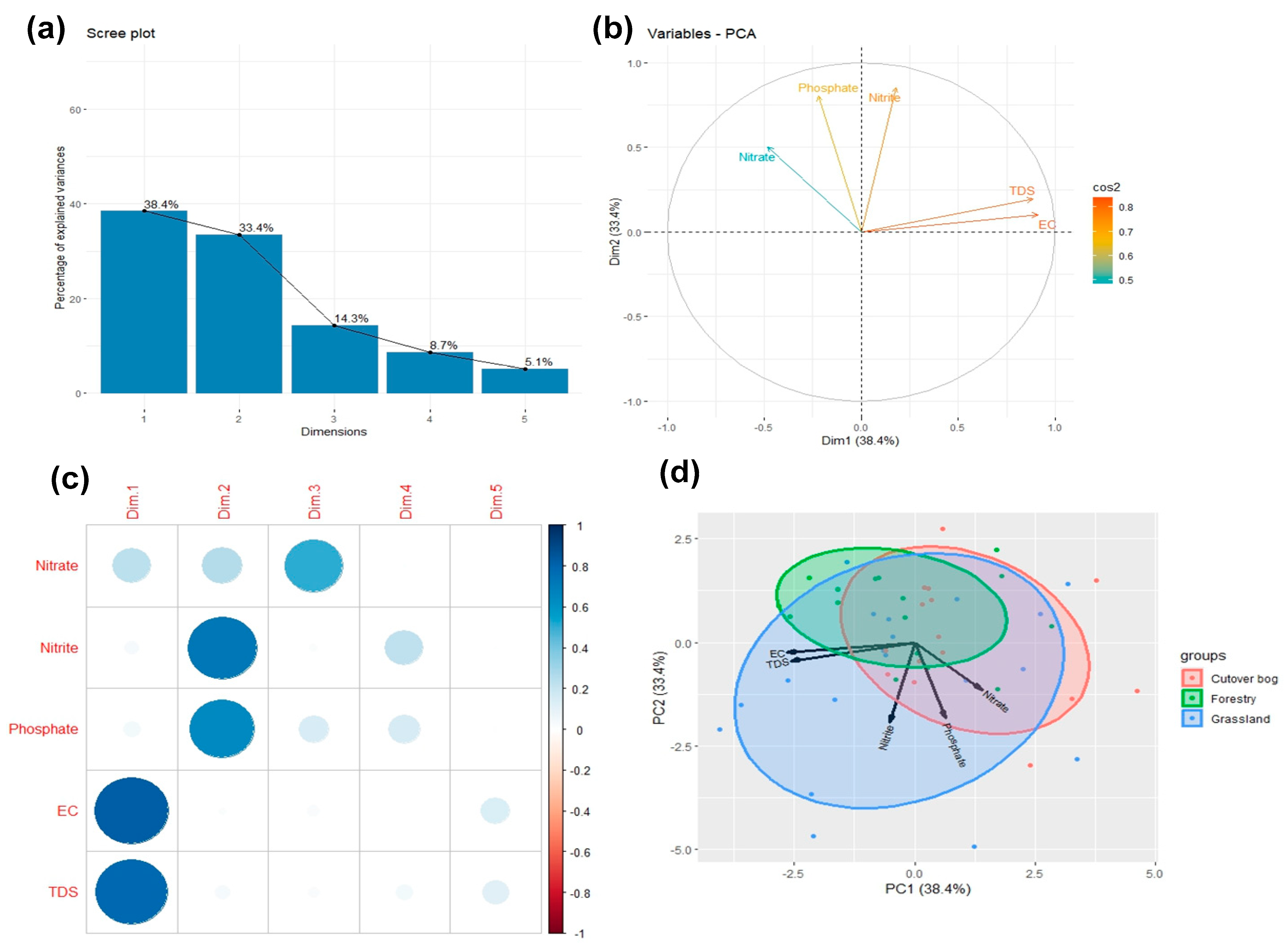 Sustainability 16 06463 g005