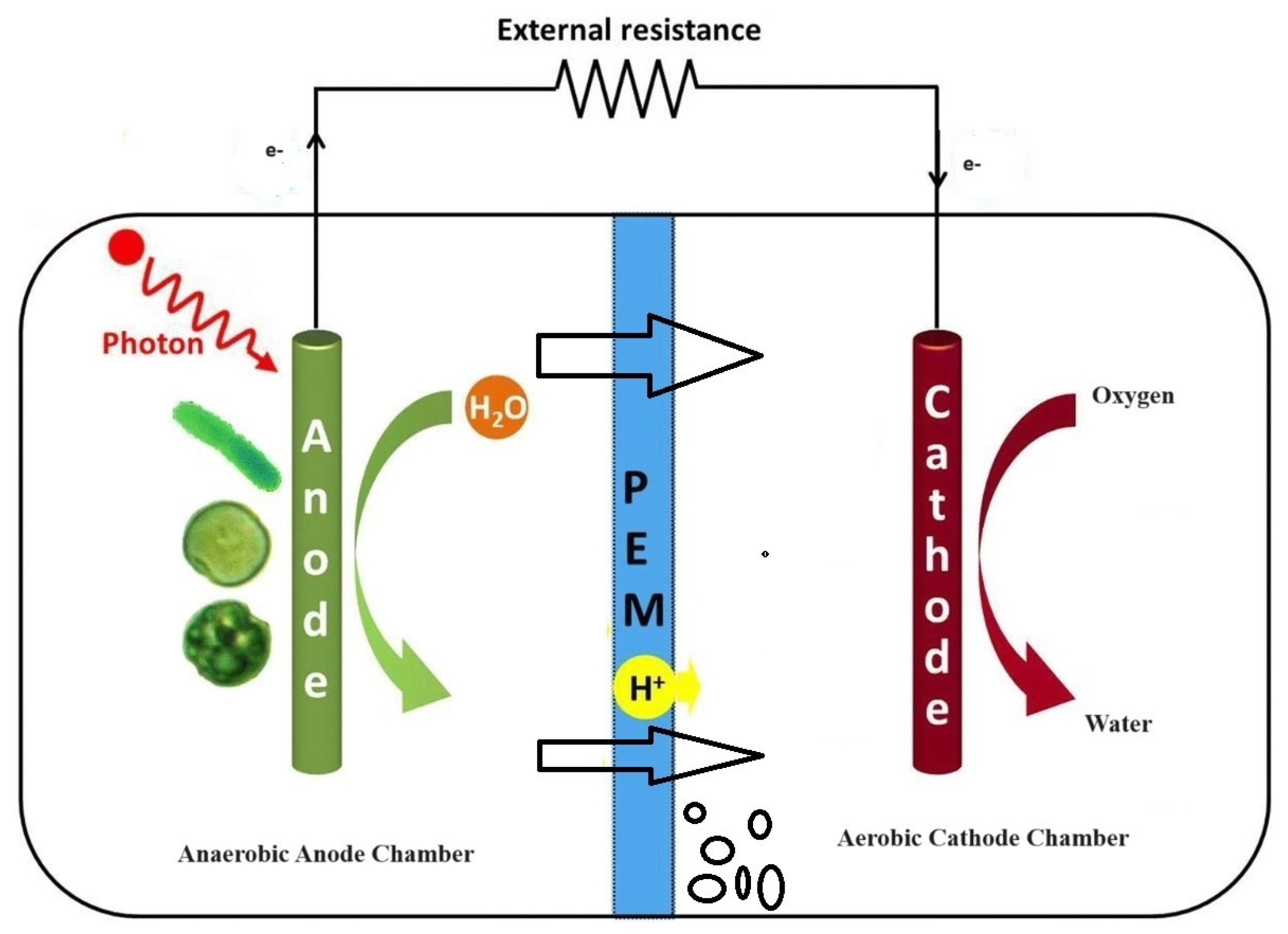 Sustainability 16 06468 g001
