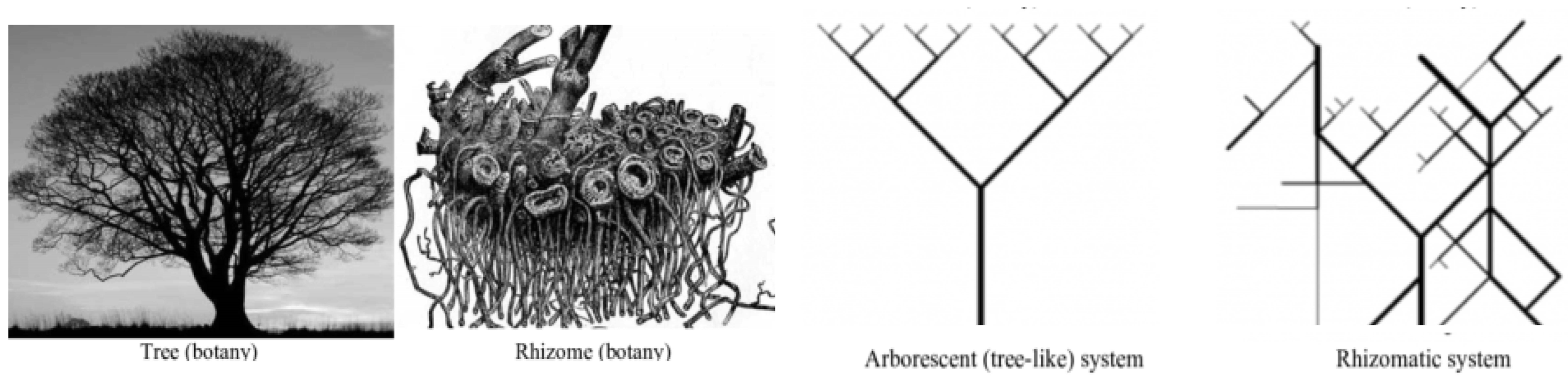 Sustainability 16 06515 g001