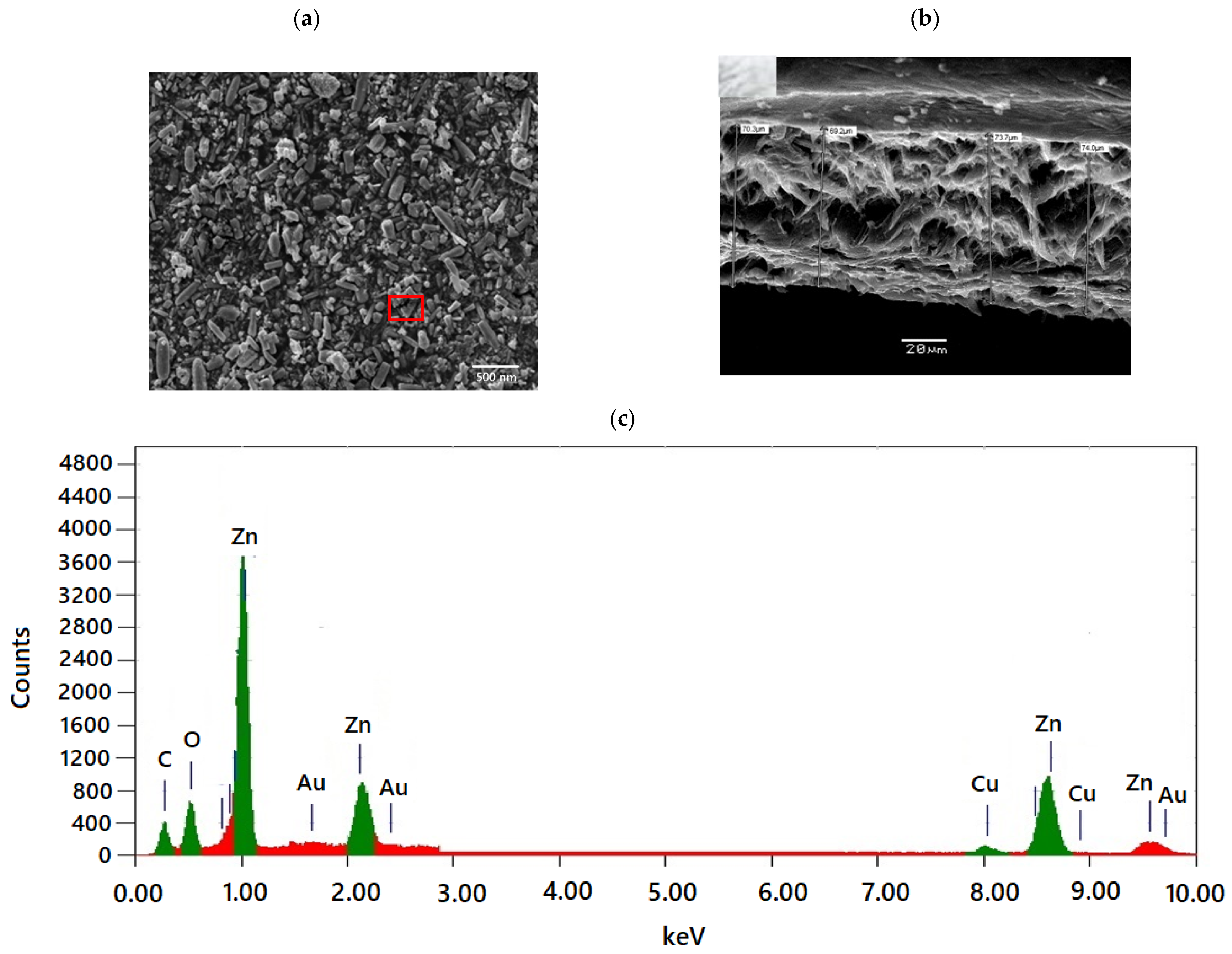 Sustainability 16 06538 g002