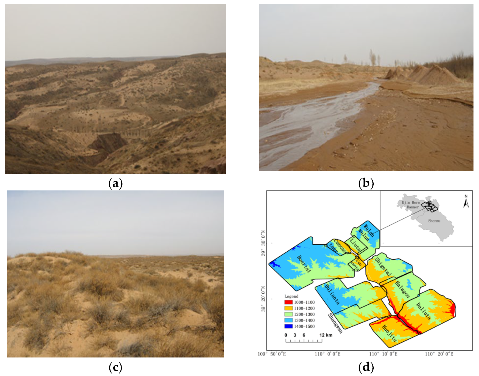 Sustainability 16 06564 g001