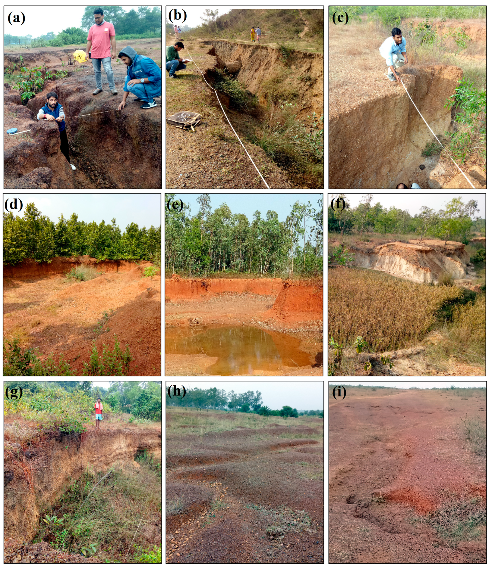 Sustainability 16 06569 g007