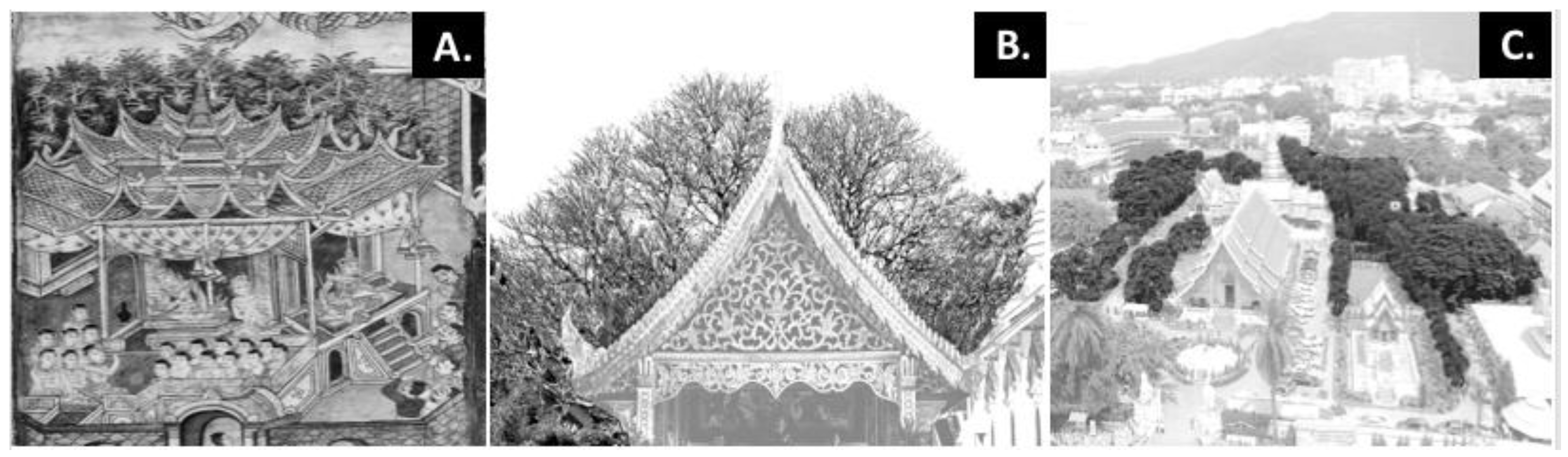 Sustainability 16 06574 g004