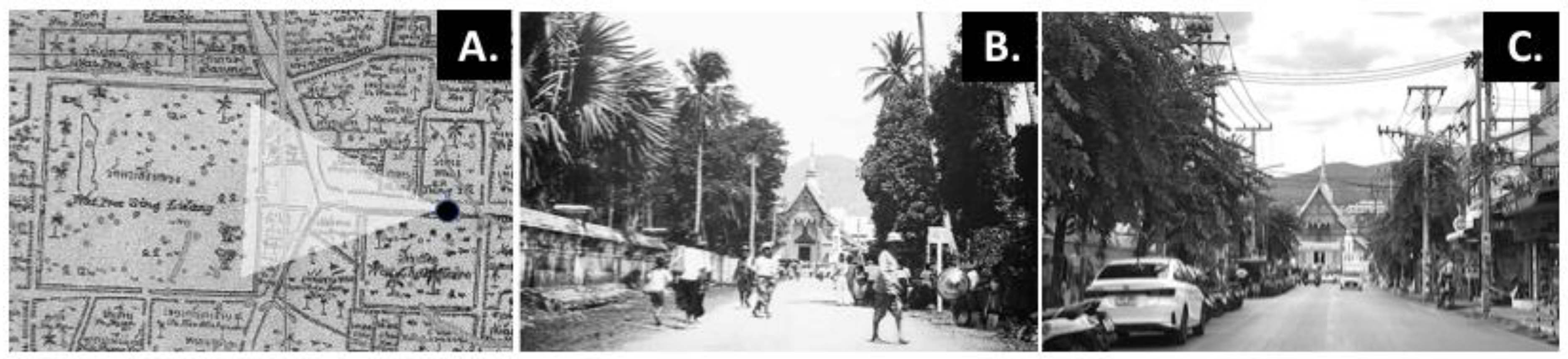 Sustainability 16 06574 g005