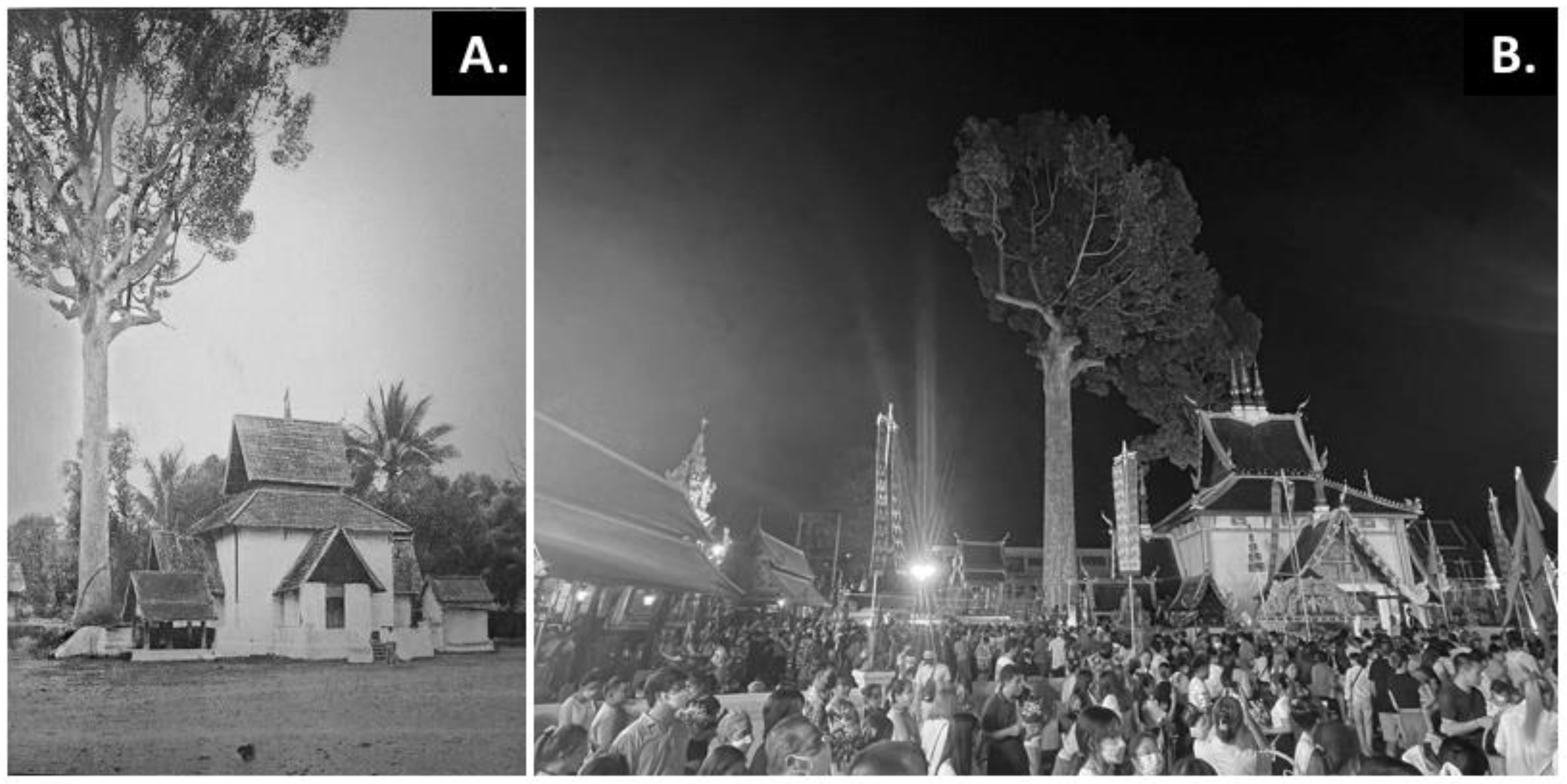 Sustainability 16 06574 g006