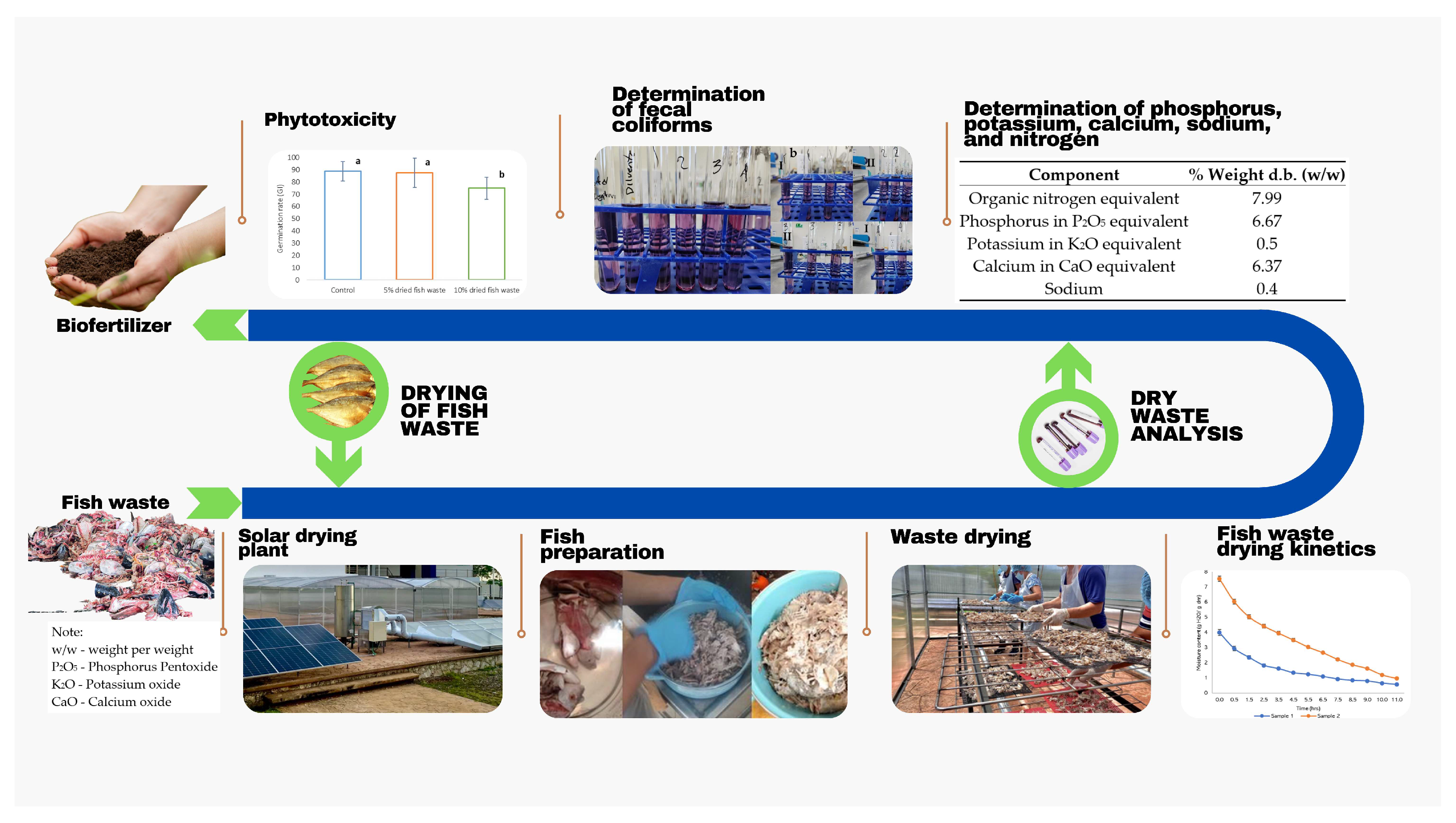 Sustainability 16 06593 g001
