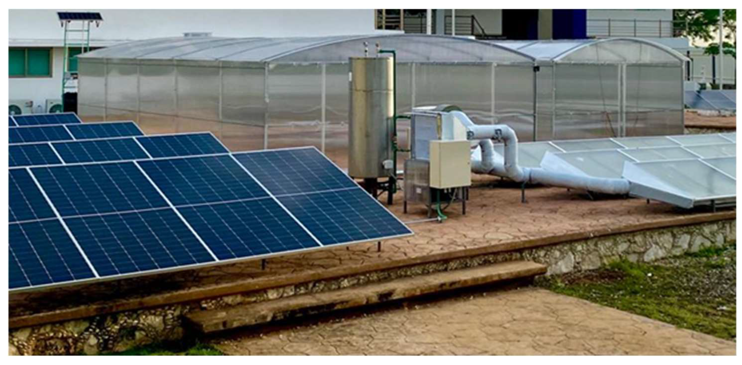 Sustainability 16 06593 g002