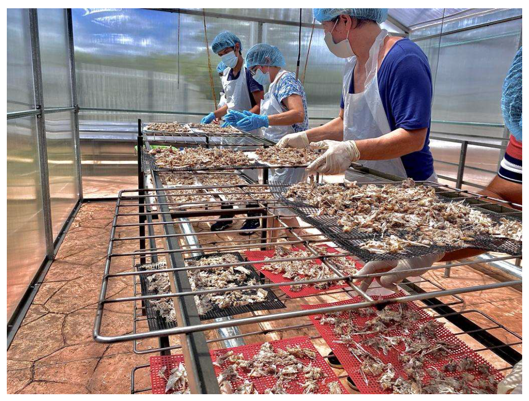 Sustainability 16 06593 g004