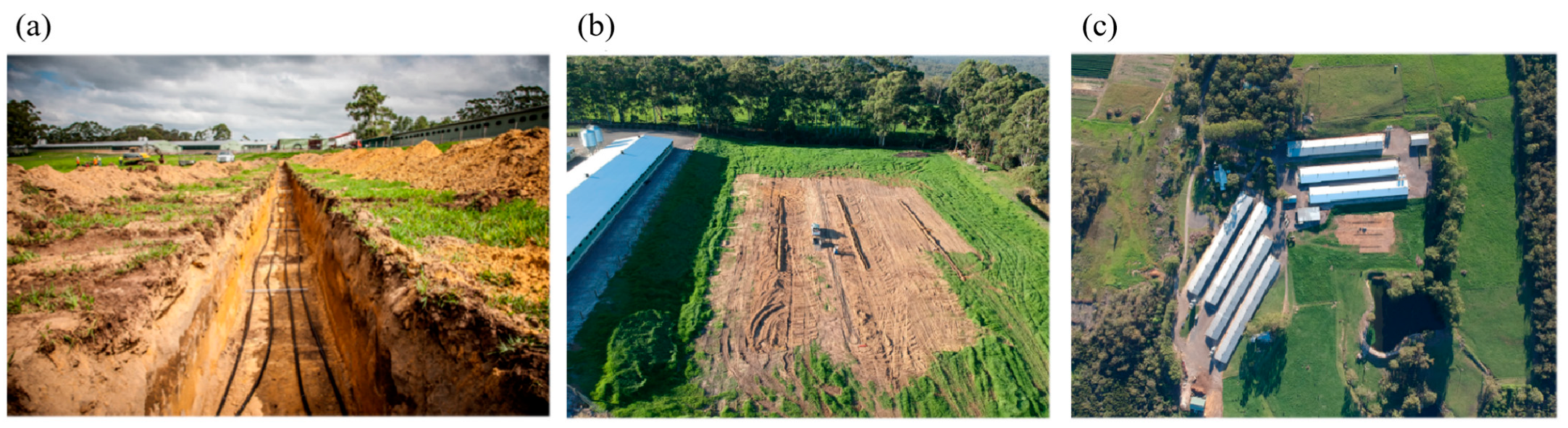 Sustainability 16 06595 g003