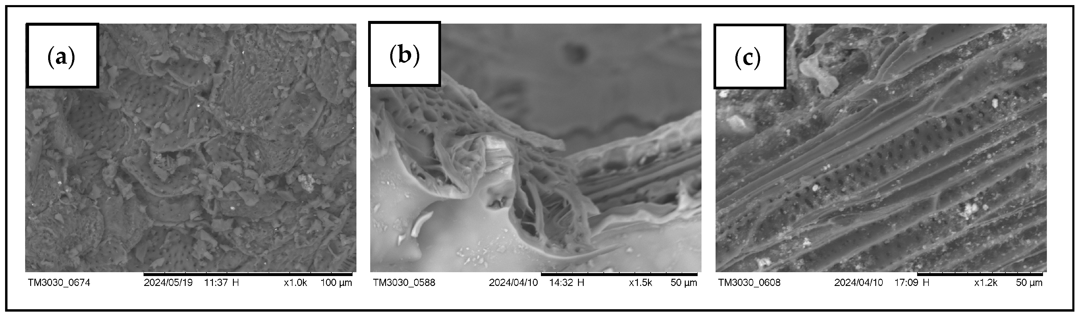 Sustainability 16 06623 g001