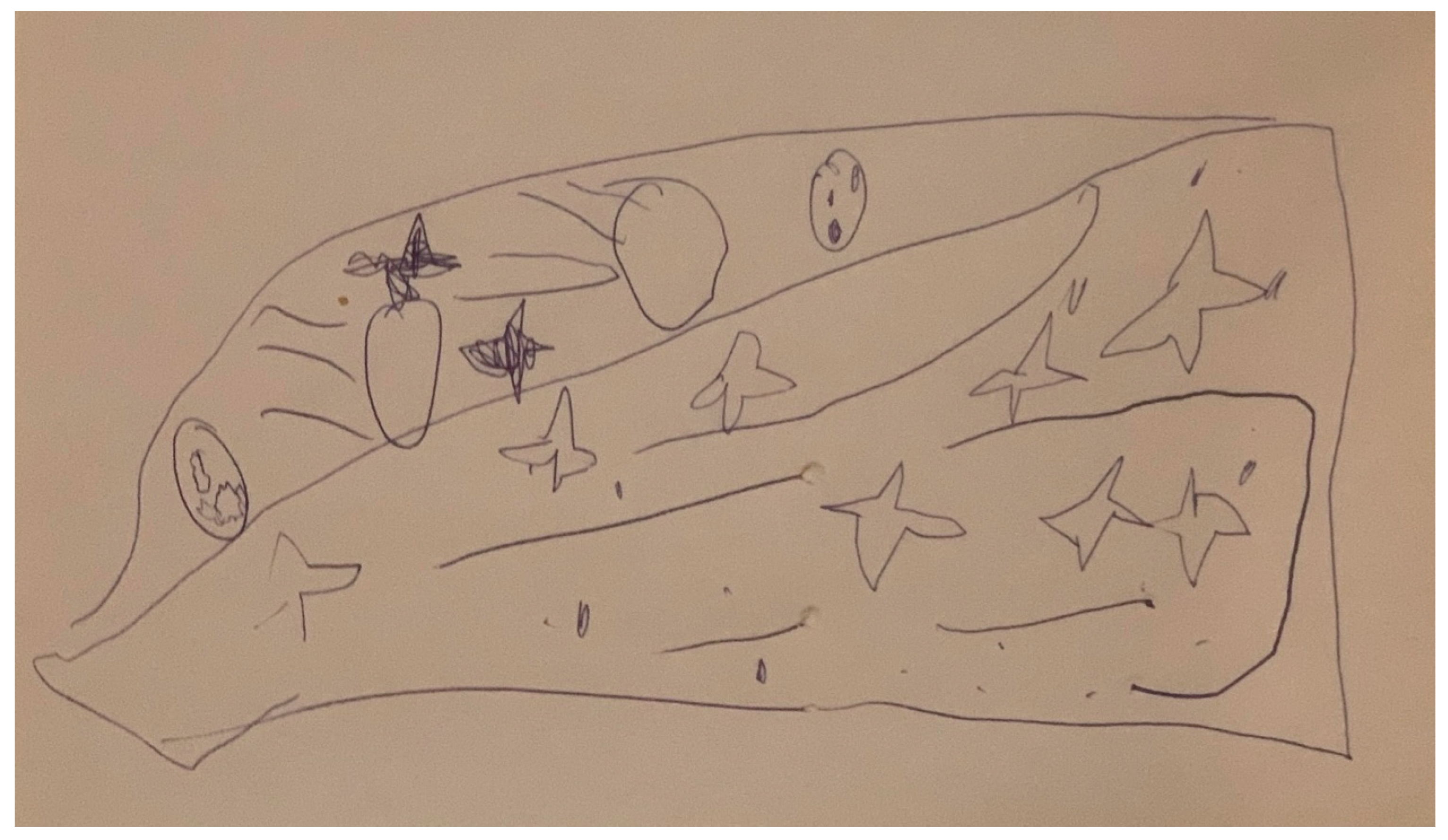 Sustainability 16 06626 g004