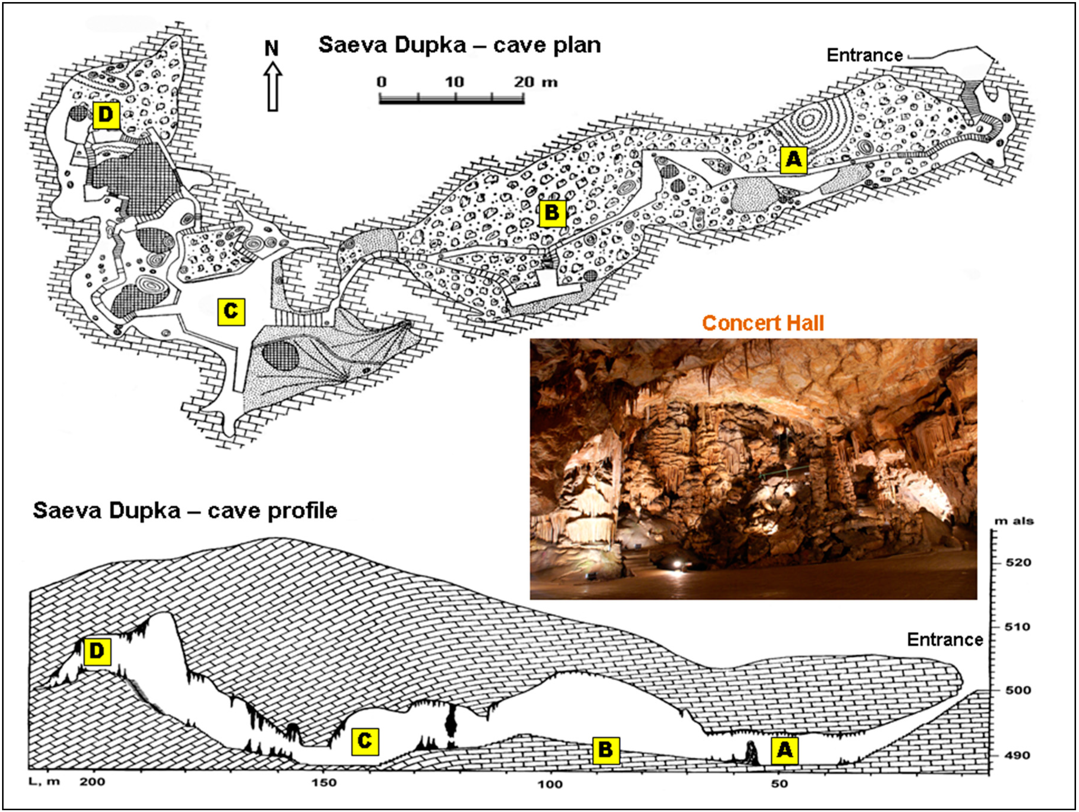 Sustainability 16 06657 g003
