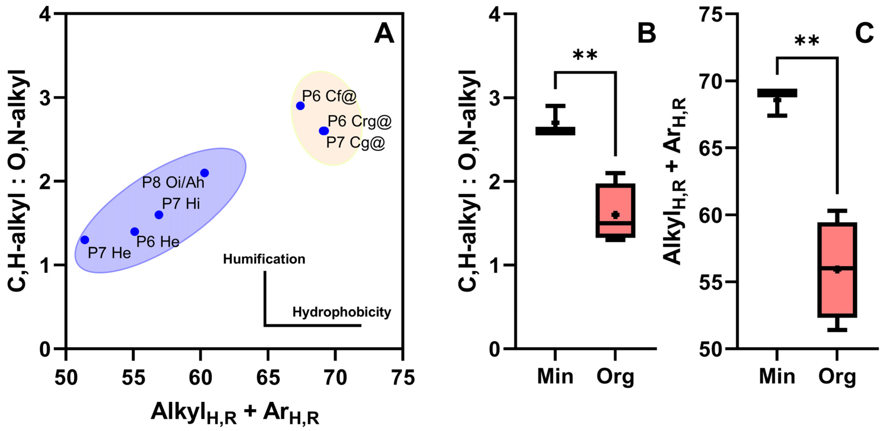 Sustainability 16 06673 g006