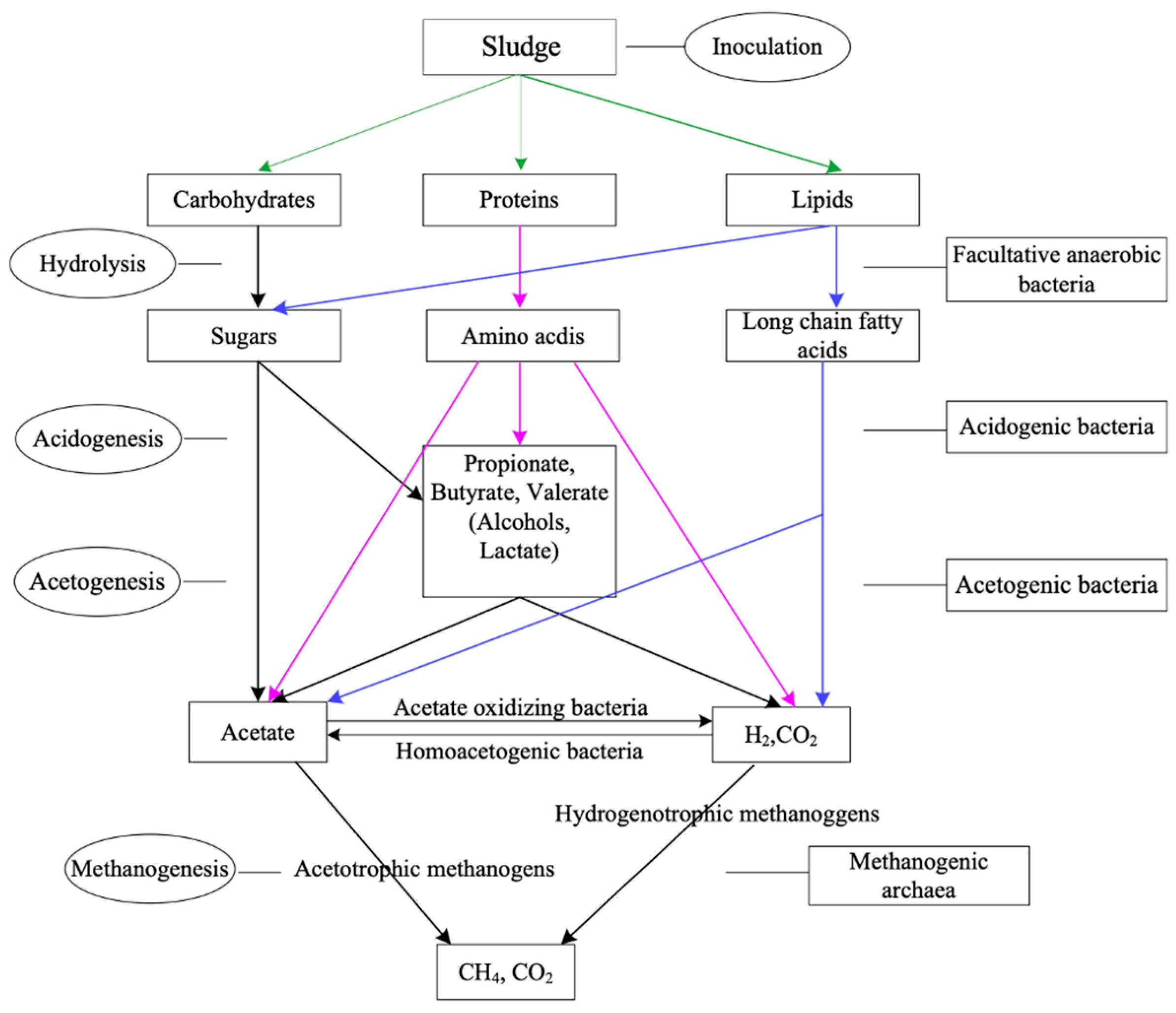 Sustainability 16 06710 g005