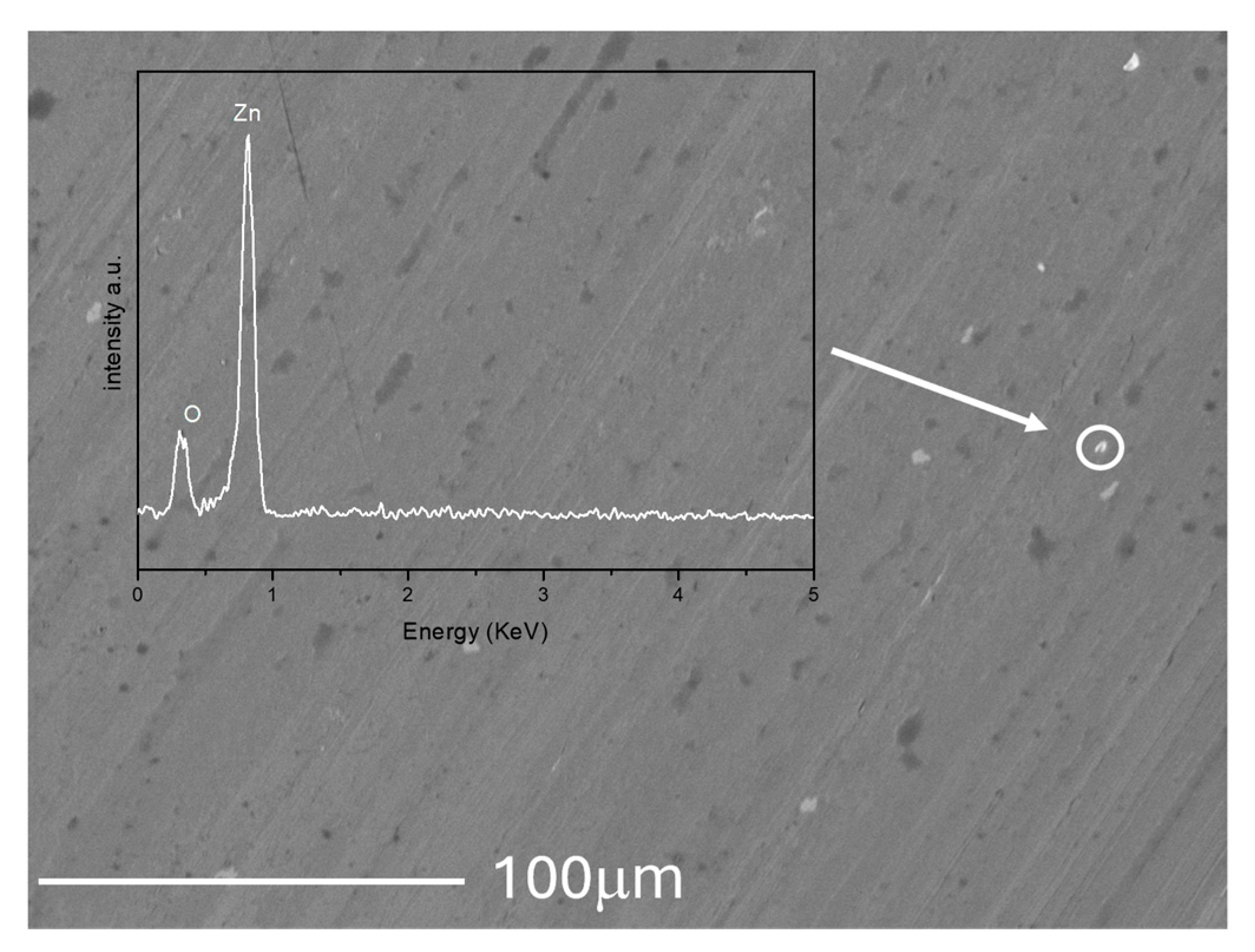 Sustainability 16 06810 g012