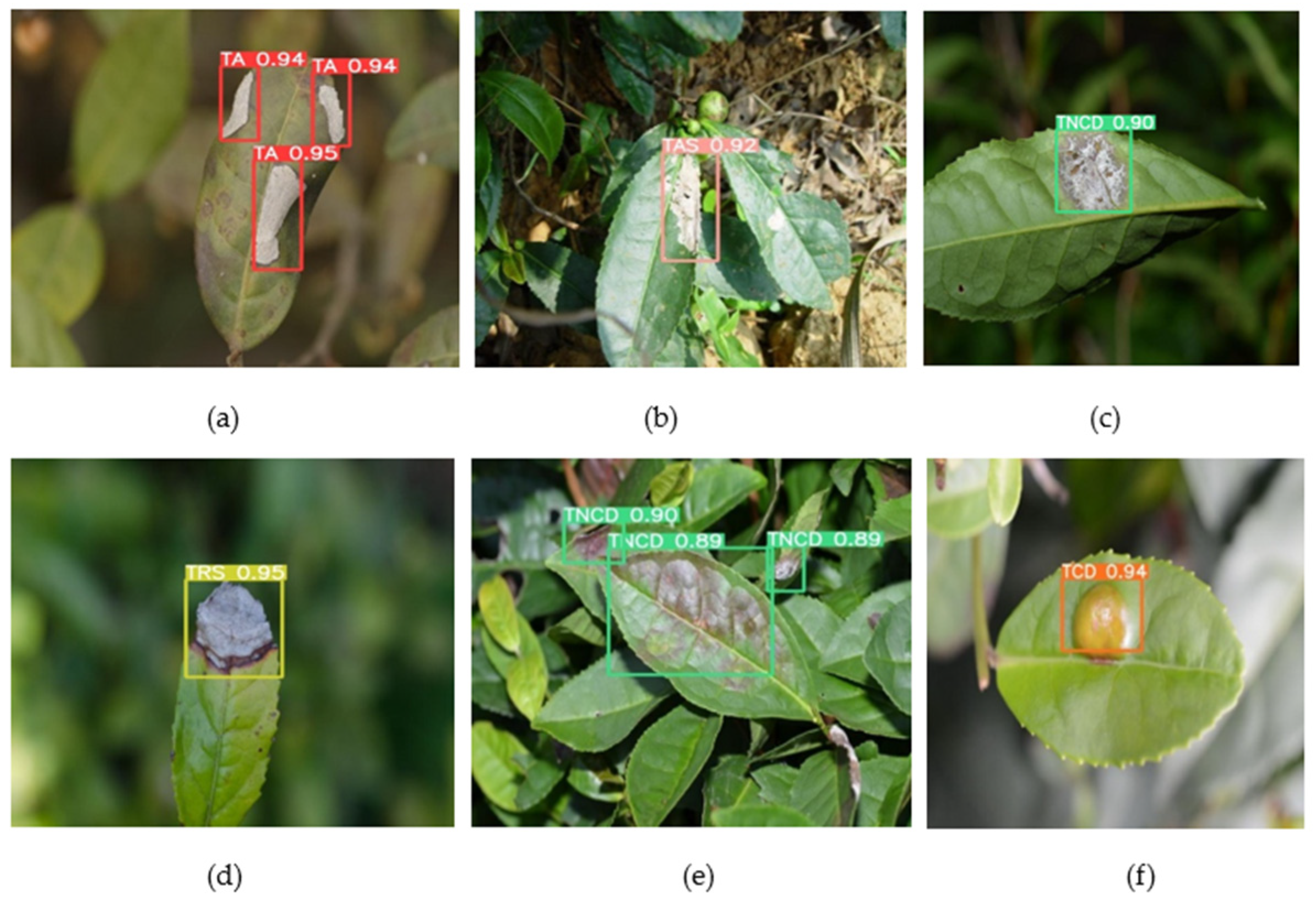 Sustainability 16 06859 g009