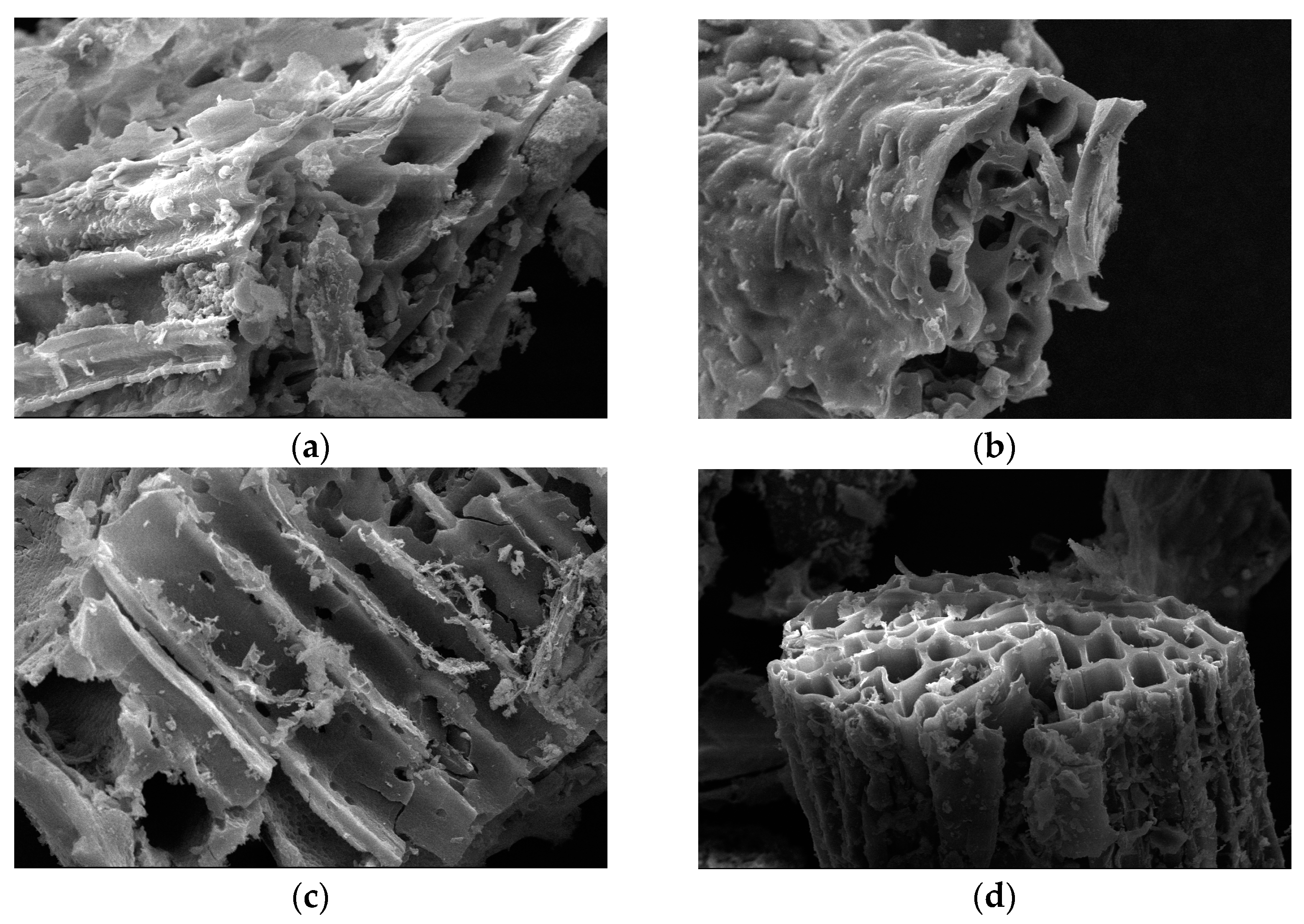 Sustainability 16 06869 g001