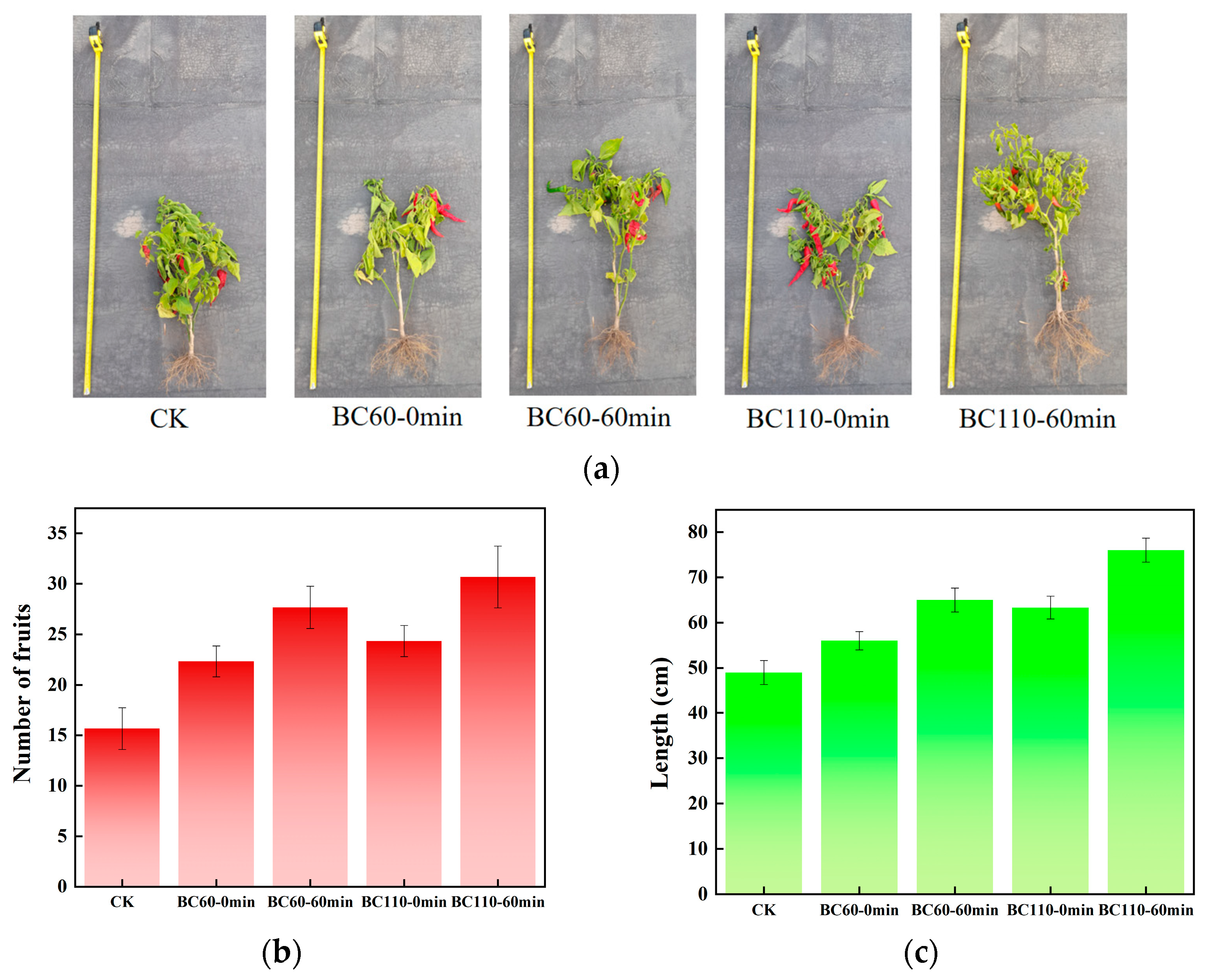Sustainability 16 06869 g006