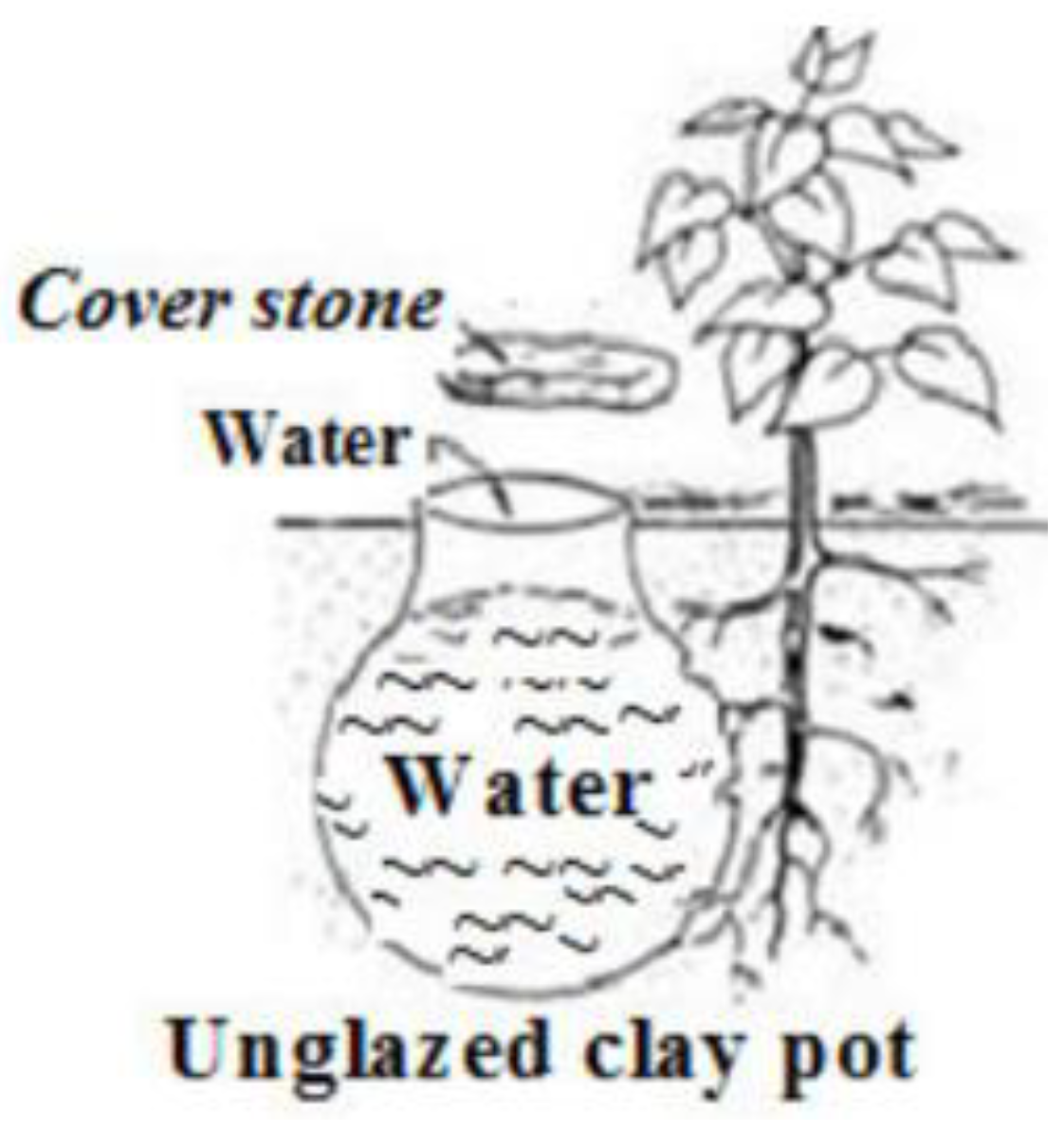 Sustainability 16 07029 g004