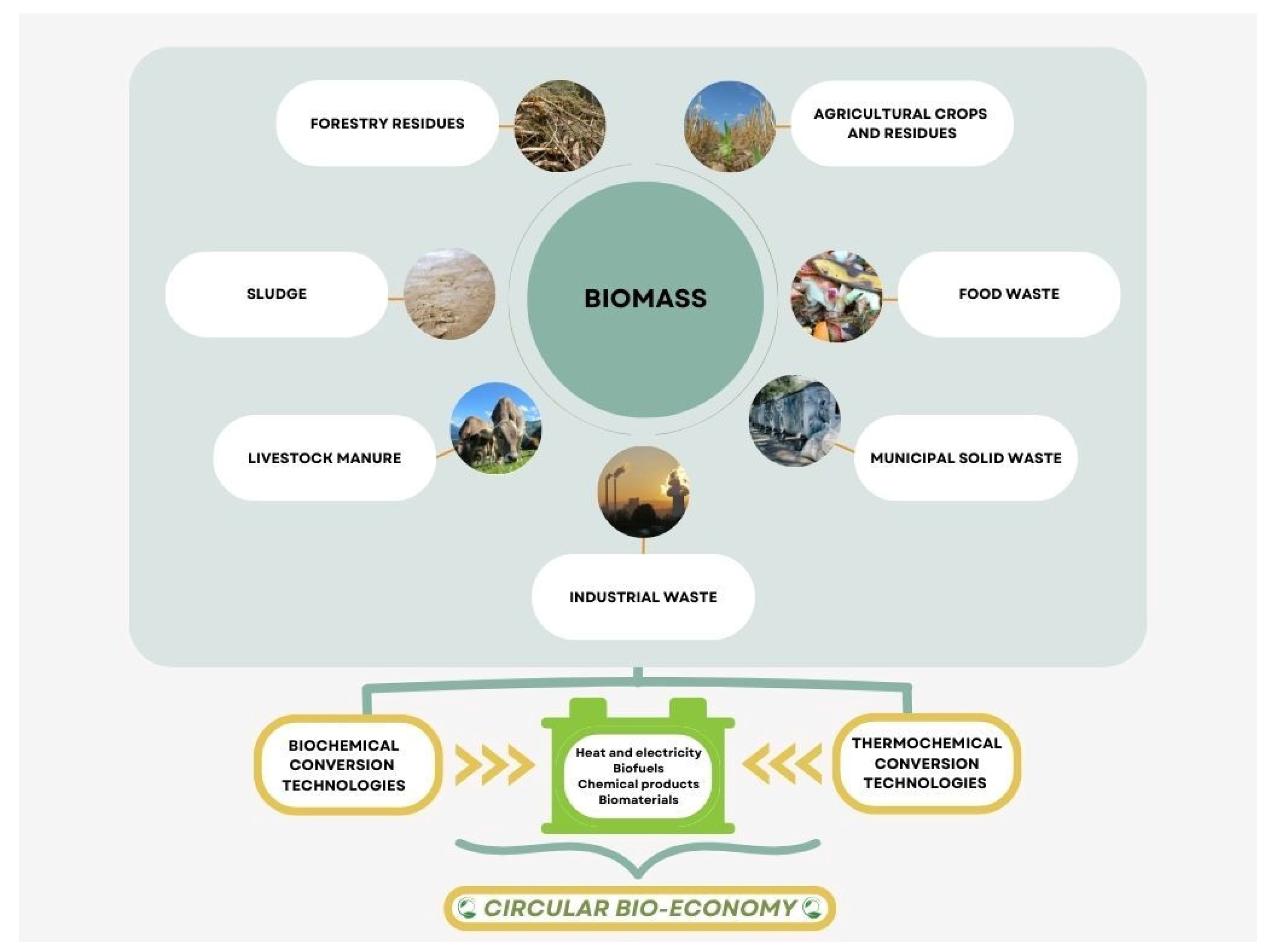 Sustainability 16 07036 g002