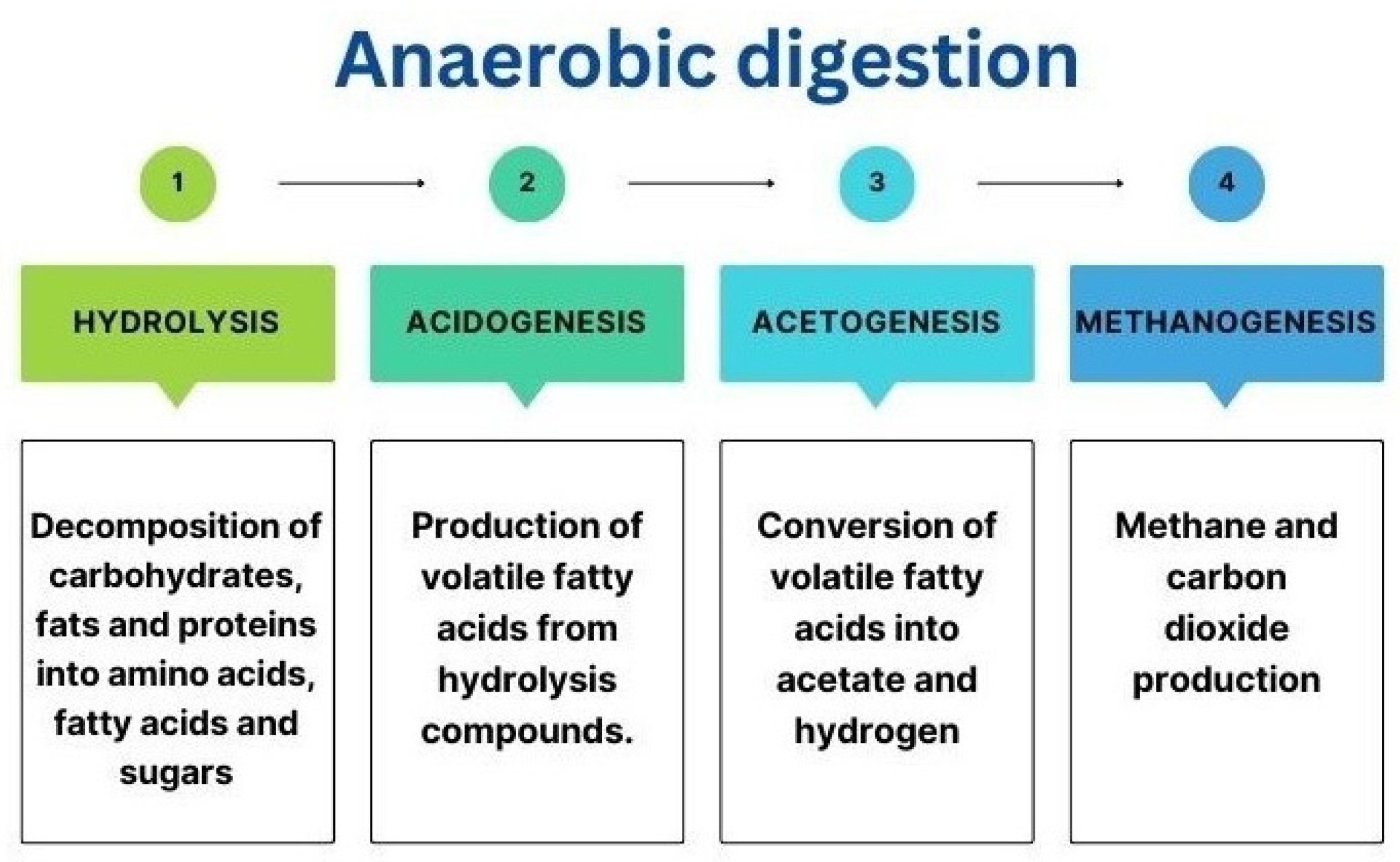 Sustainability 16 07036 g007