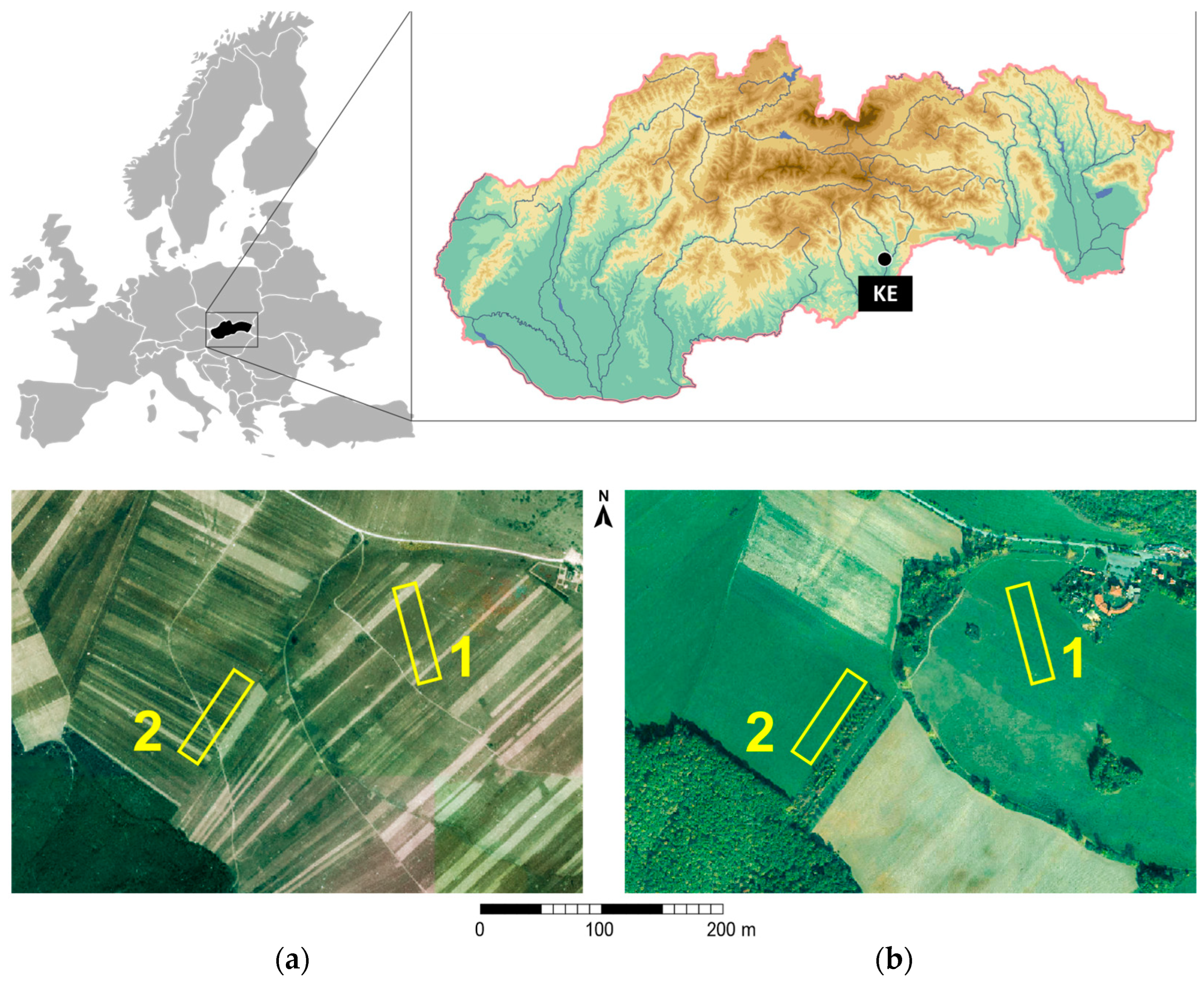 Sustainability 16 07037 g001