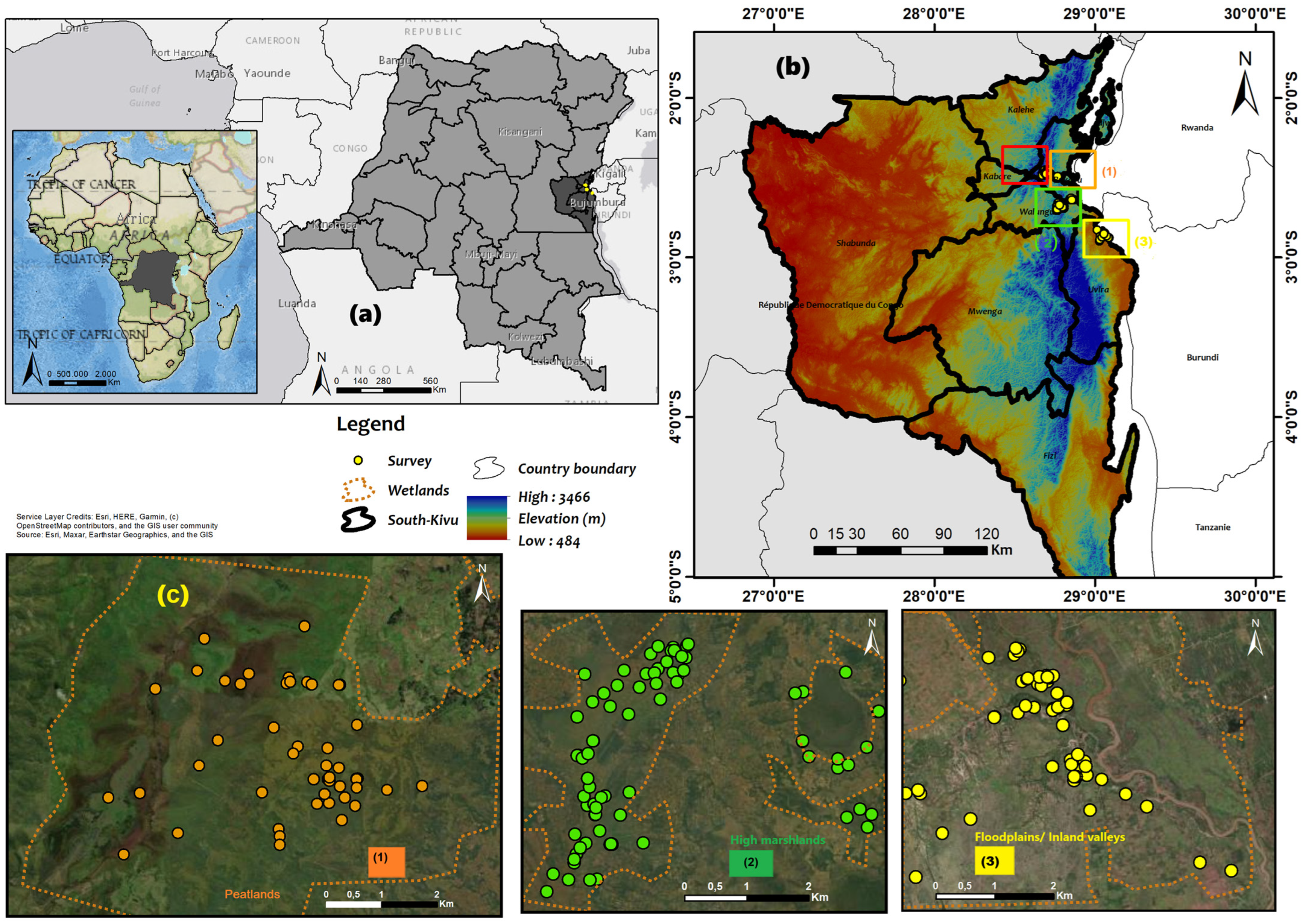 Sustainability 16 07073 g001
