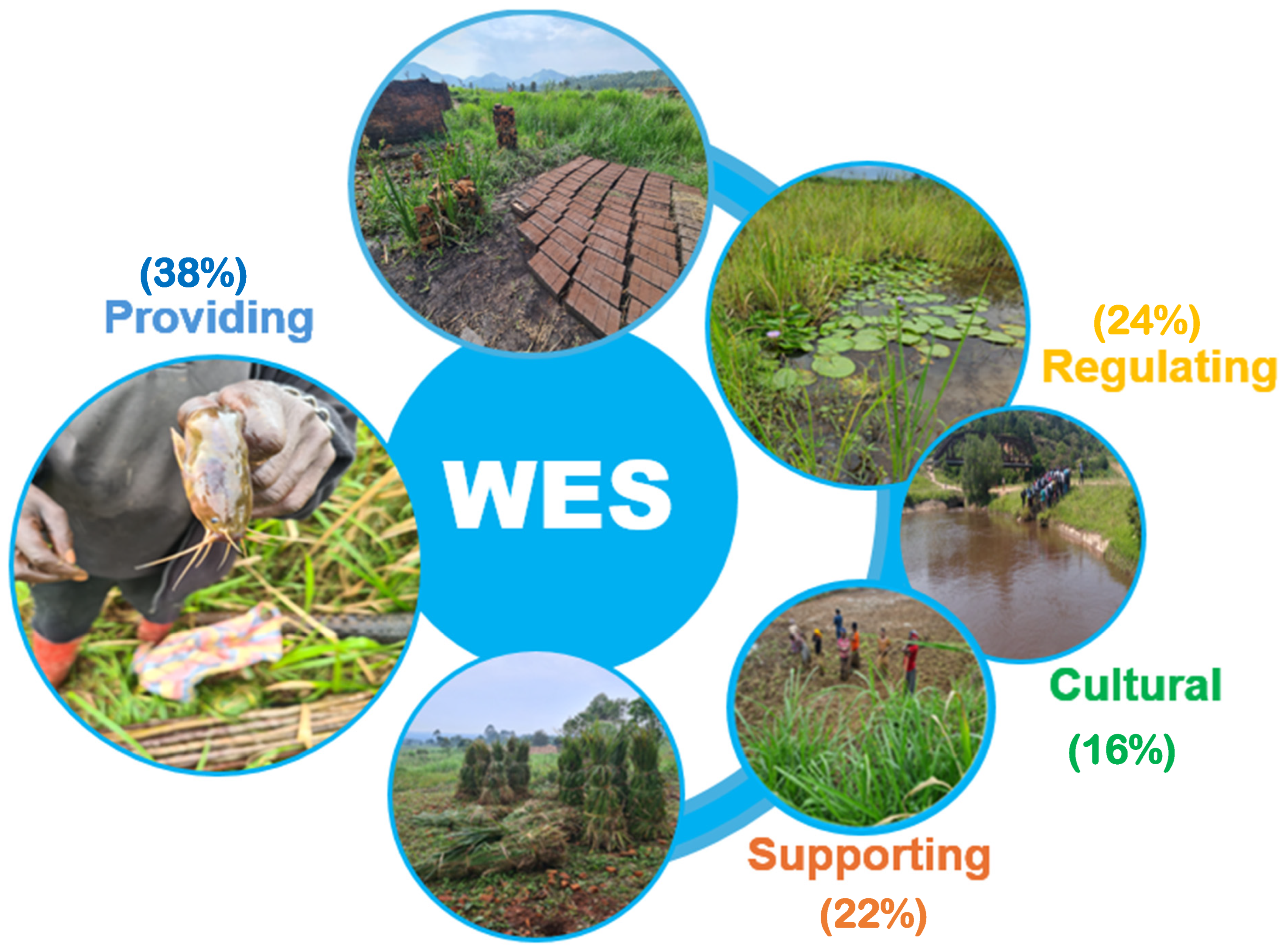 Sustainability 16 07073 g003